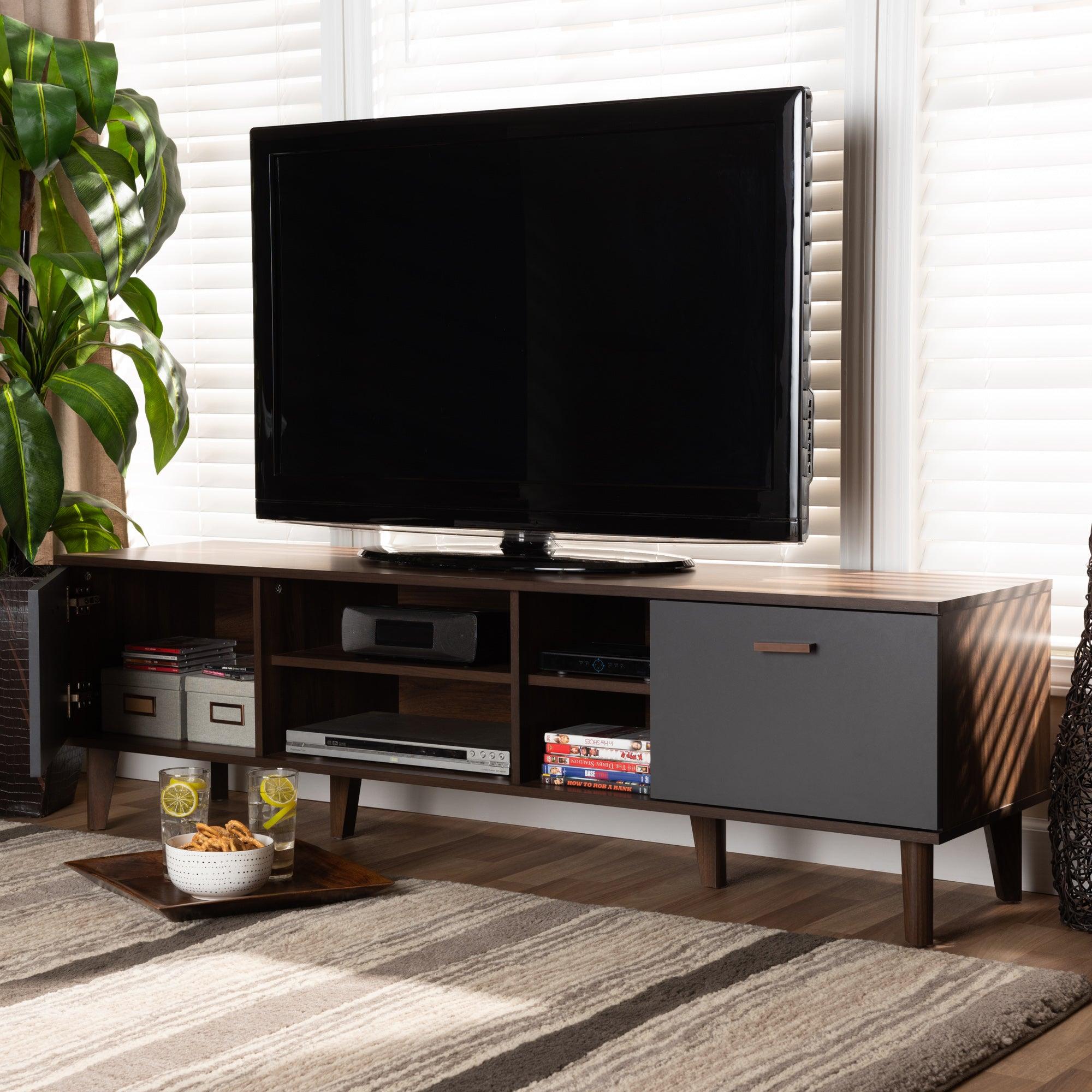 Moina Mid-Century Modern Two-Tone and Finished Wood TV Stand