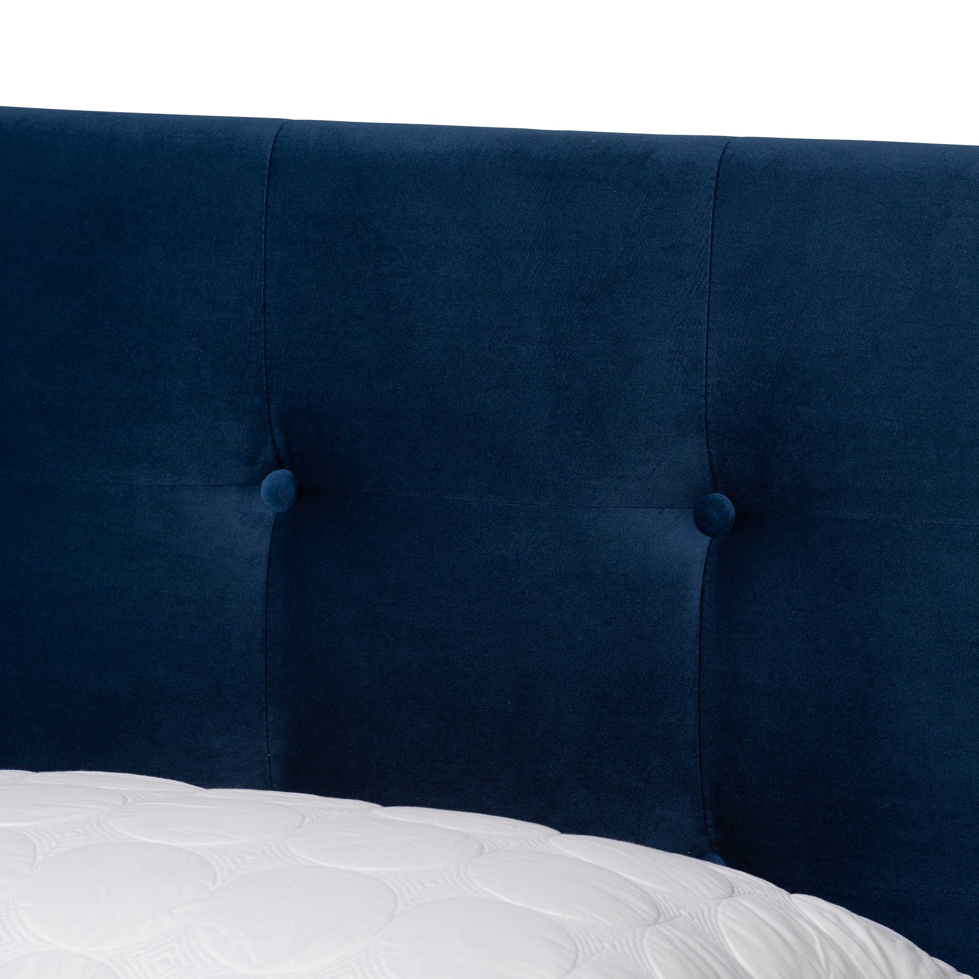 Caprice Modern and Contemporary Glam Velvet Fabric Upholstered Panel Bed