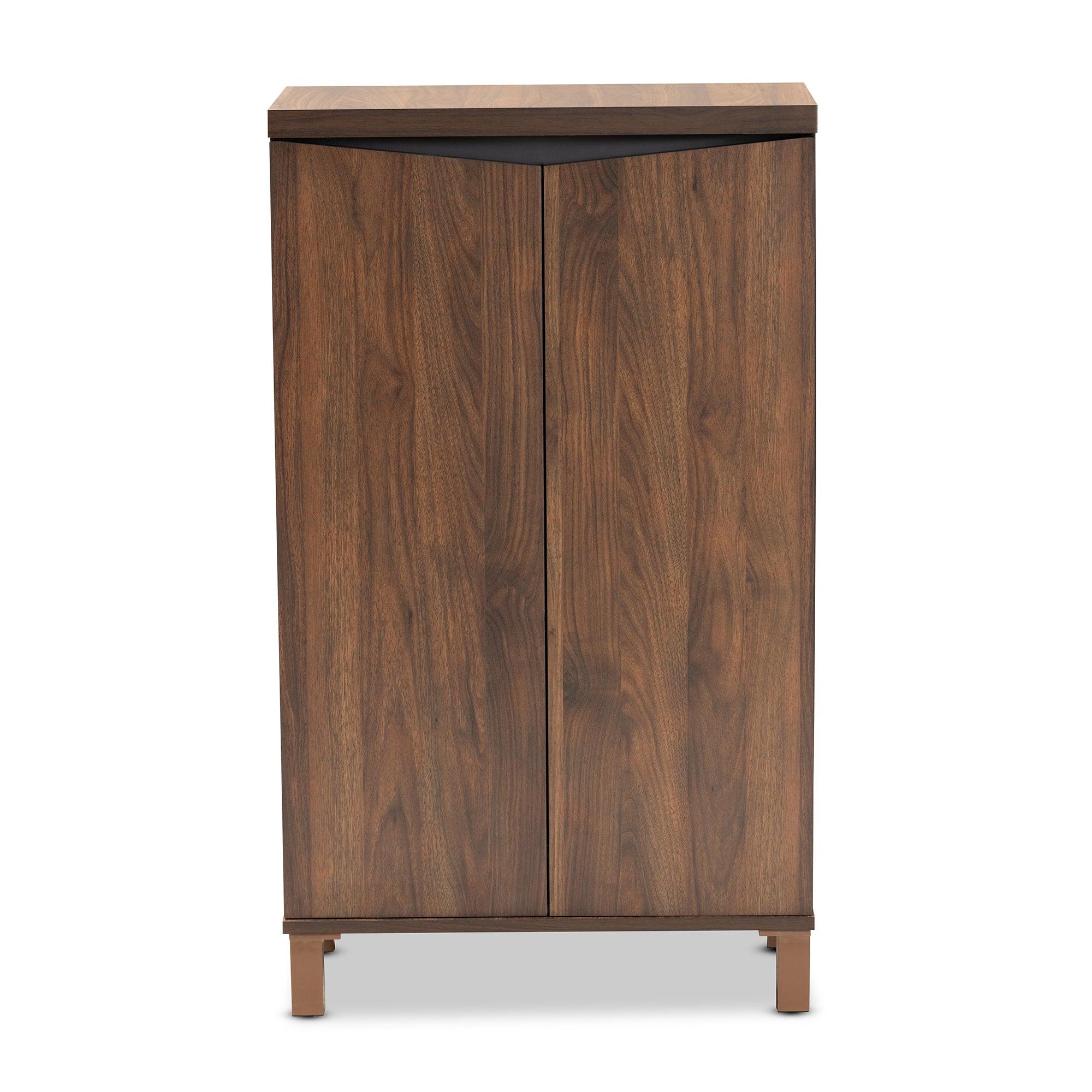 Talon Modern and Contemporary Two-Tone and Dark Finished Wood 2-Door Shoe Storage Cabinet