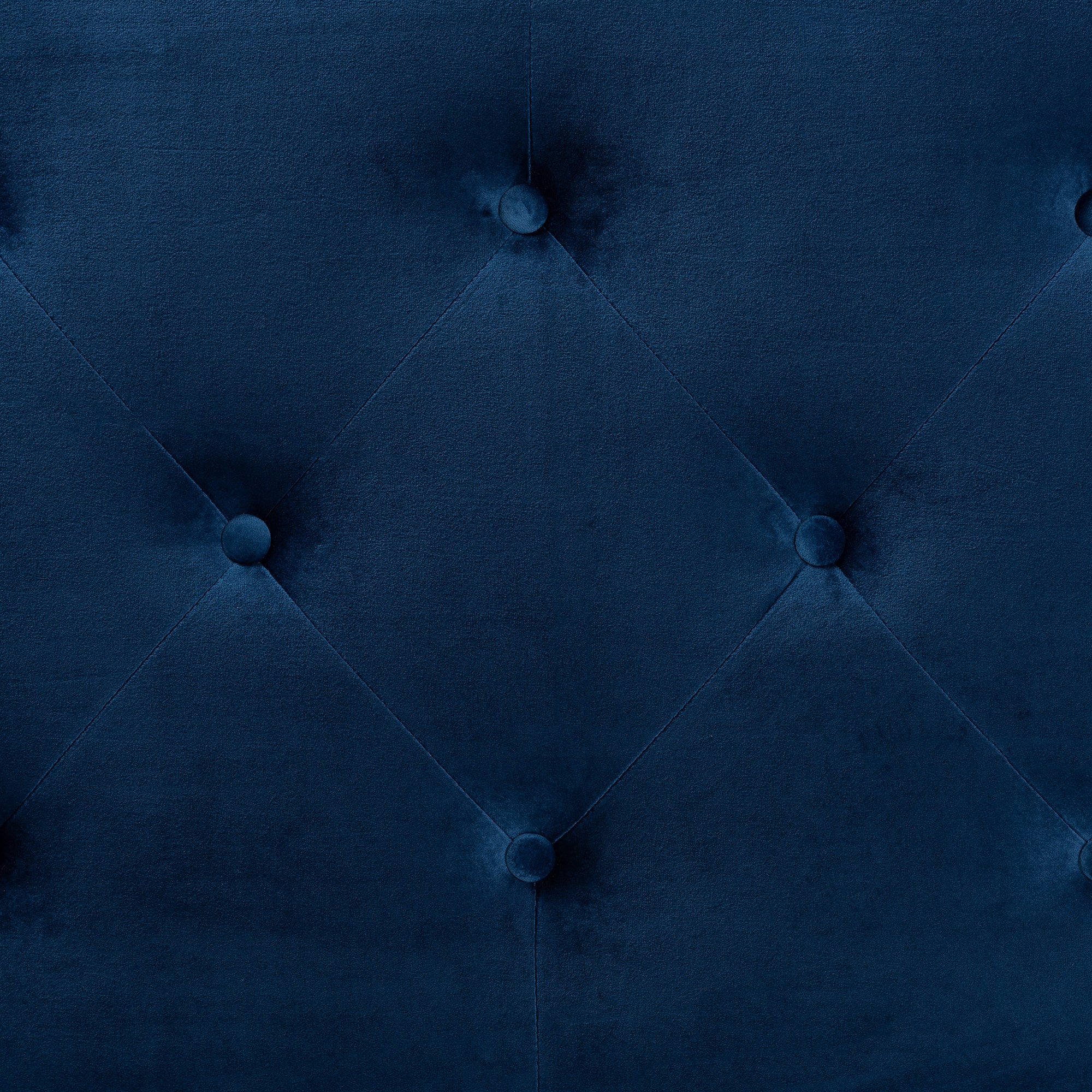 Leone Modern and Contemporary Velvet Fabric Upholstered Headboard