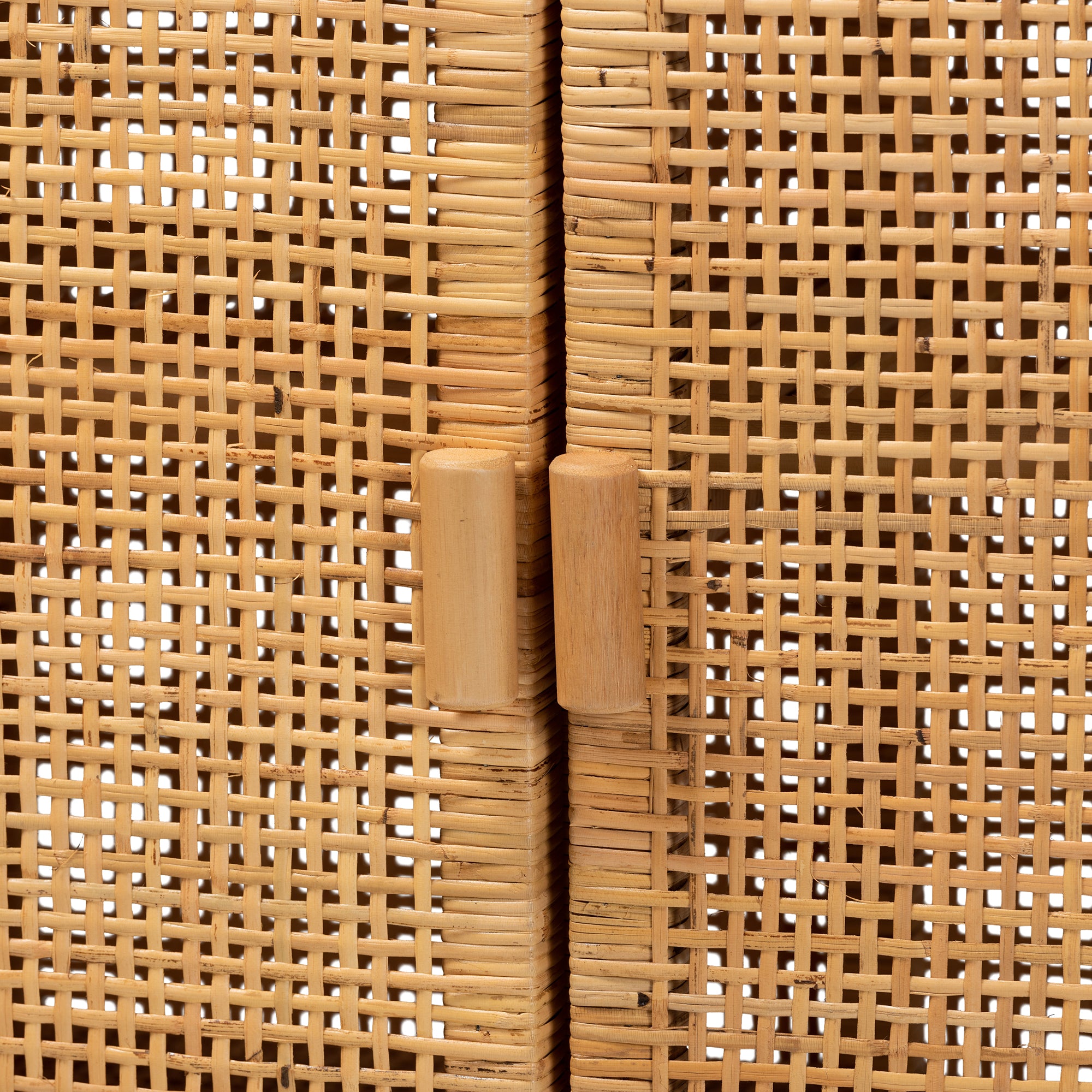 Bali & Pari Vivan Modern Bohemian Rattan and Mahogany Wood Storage Cabinet
