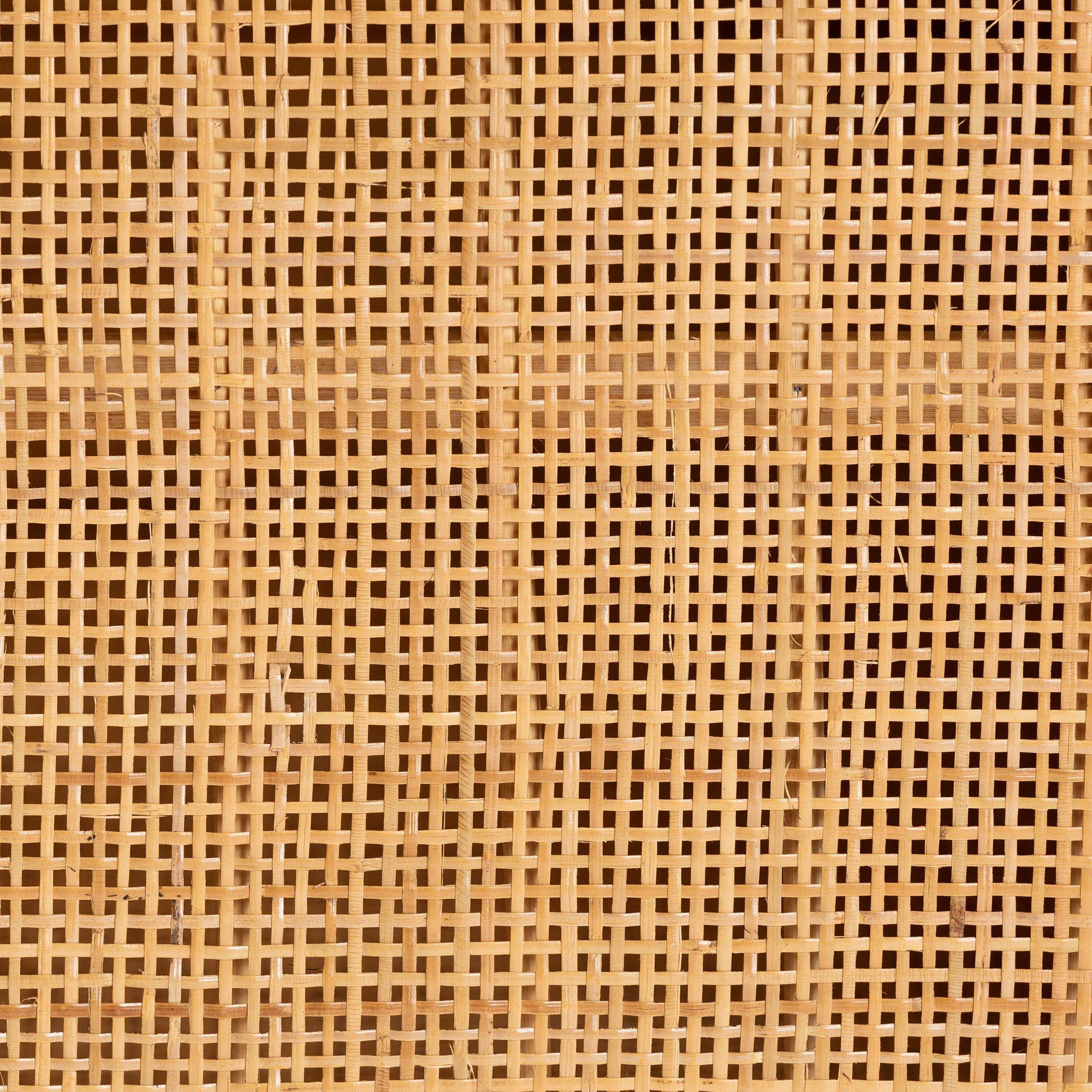 Bali & Pari Ovalet Modern Bohemian Rattan 2-Door Sideboard