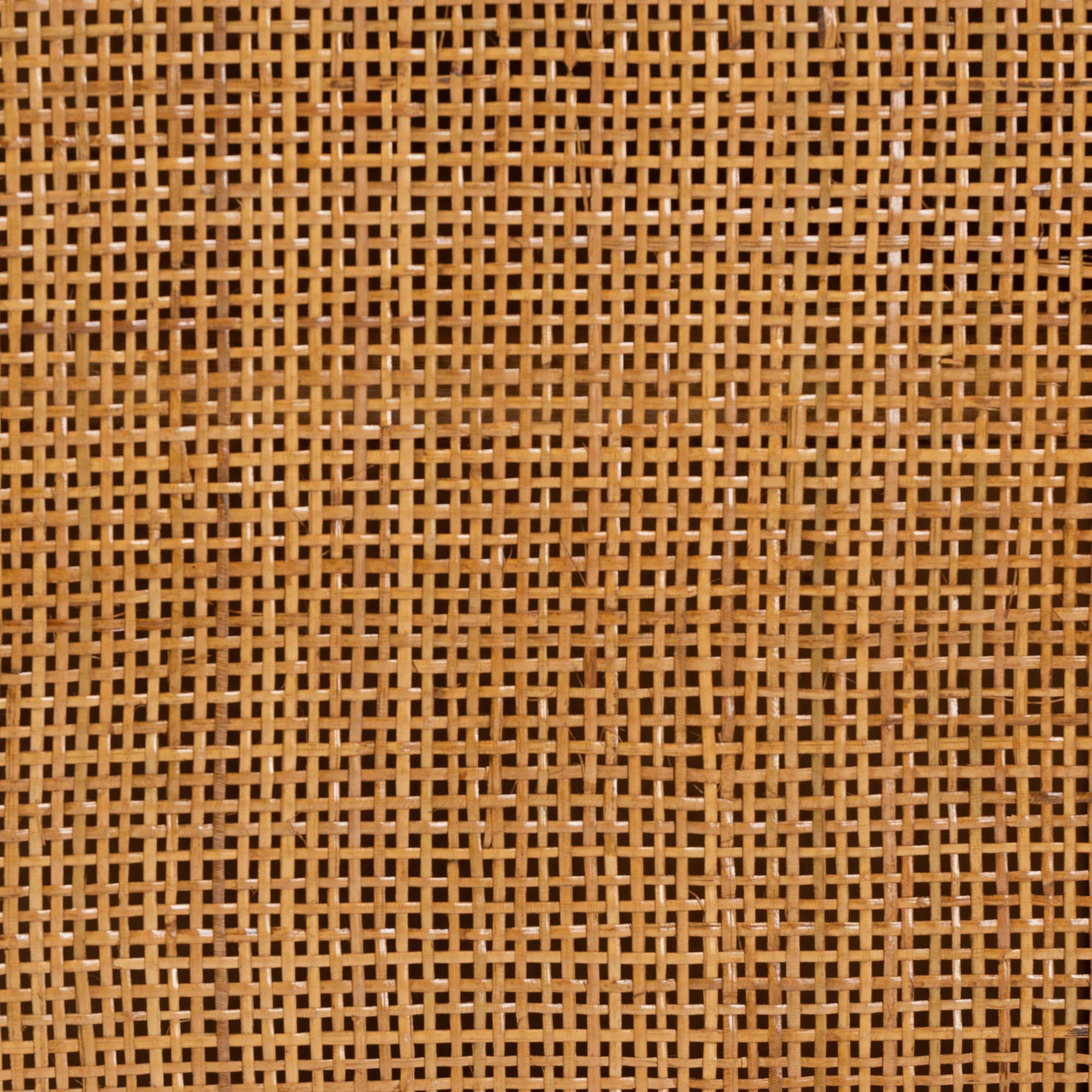Bali & Pari Paloma Modern Bohemian Light Honey Rattan Large Storage Cabinet