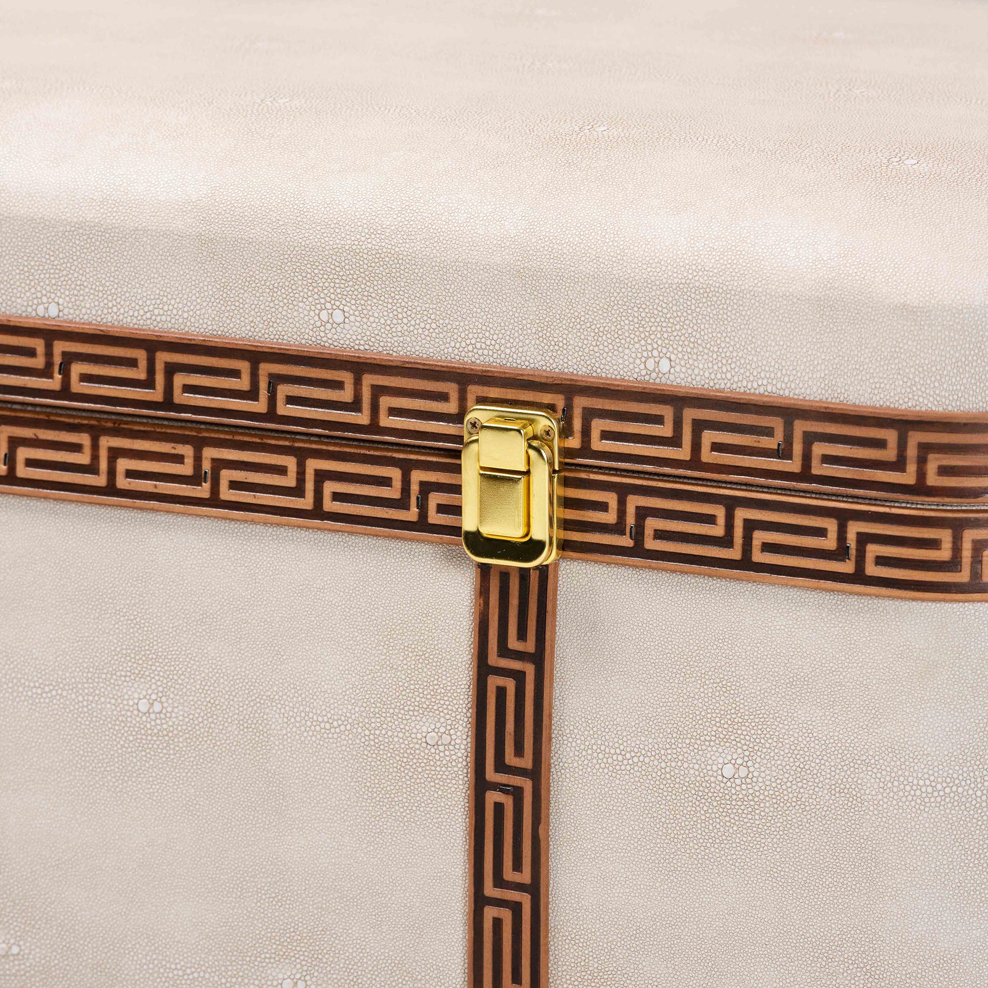 Brenner Modern Transitional Faux Shagreen Storage Trunk