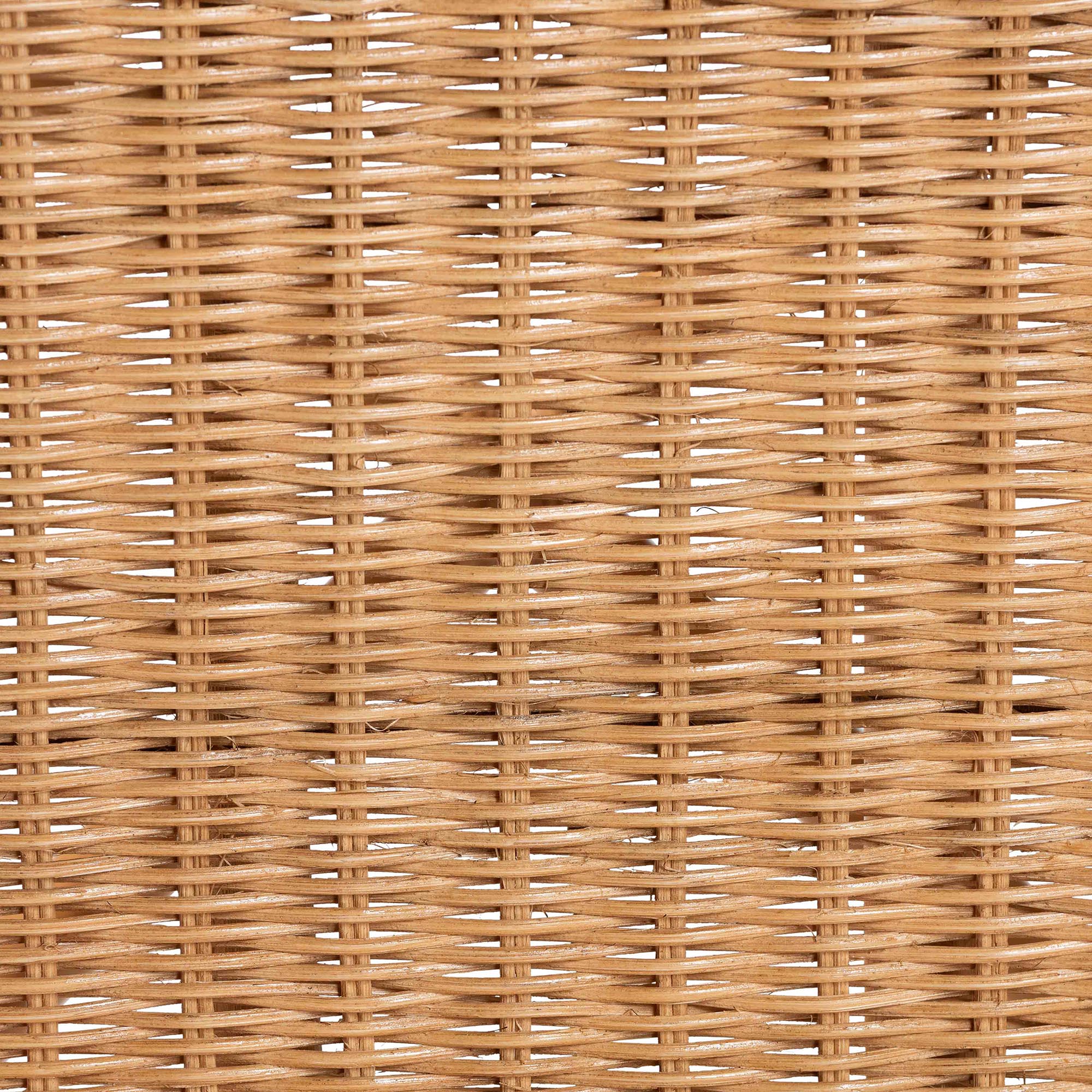 Bali & Pari Winslow 5-Piece Rattan Dining Set