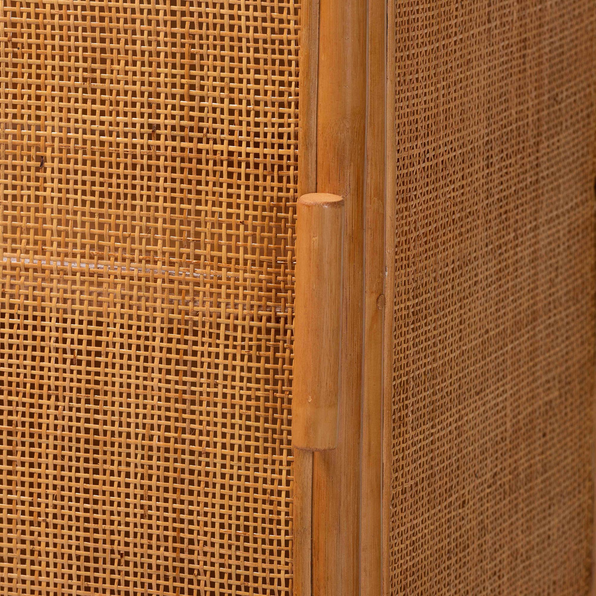 Bali & Pari Paloma Arched Rattan Accent Cabinet