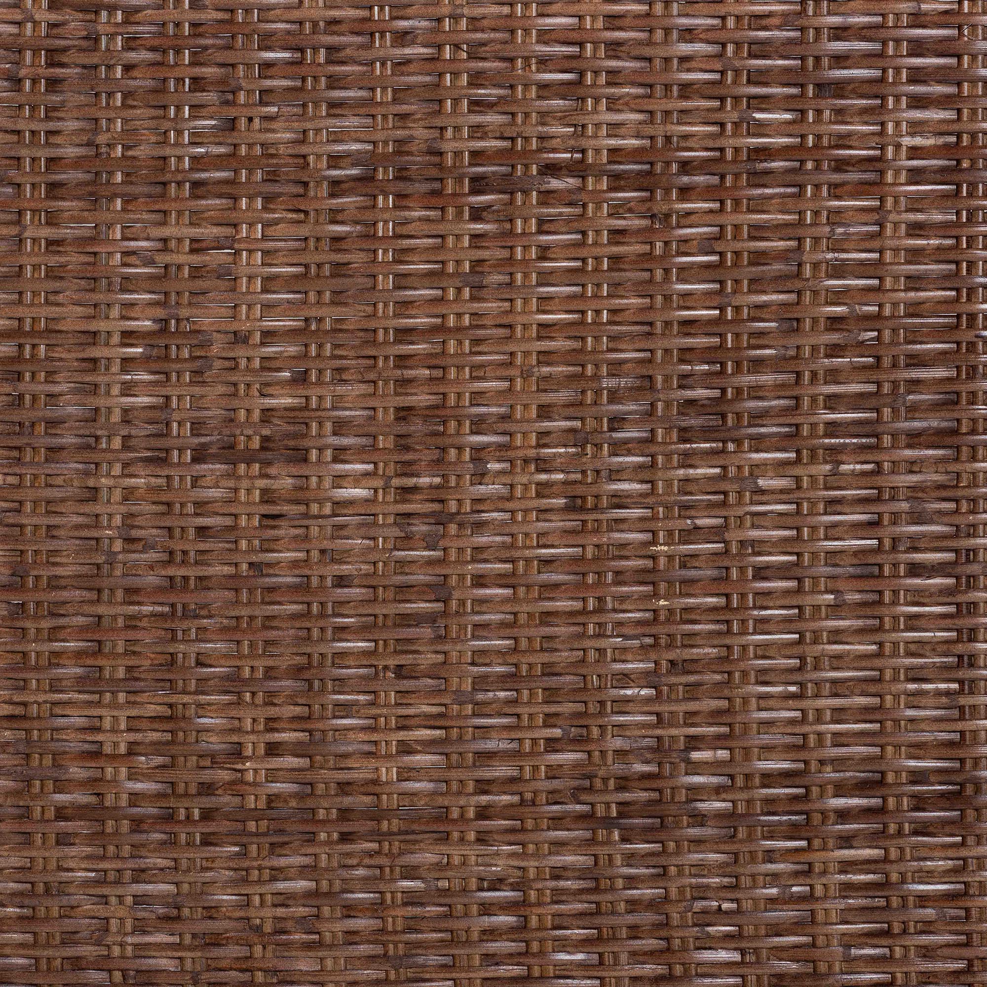 Bali & Pari Raphaela Rattan Standalone Headboard