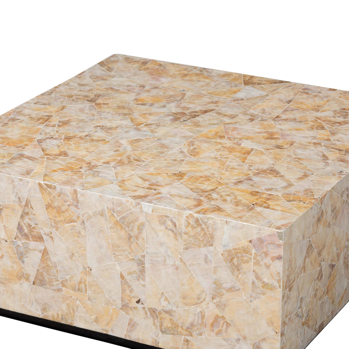 Bali & Pari Fraley Capiz Shell Coffee Table