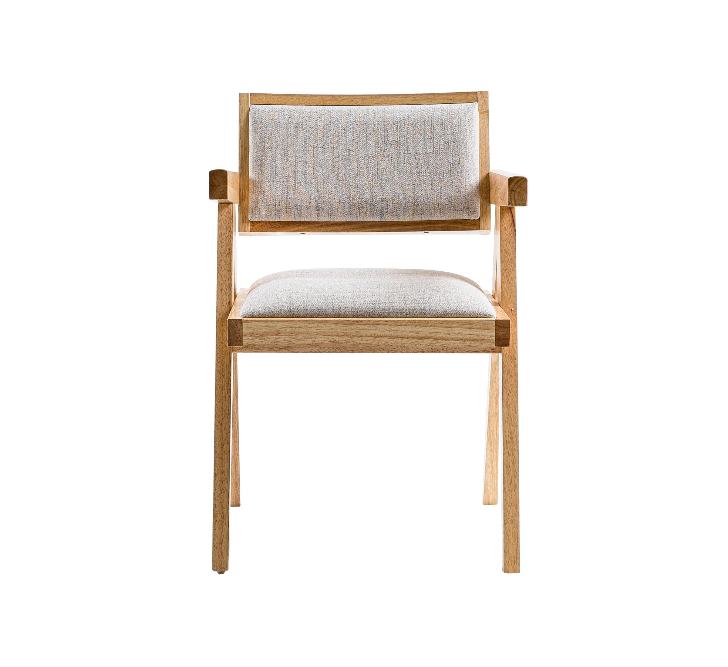 Modrest Fern Modern Natural and Dining Chair Set of 2