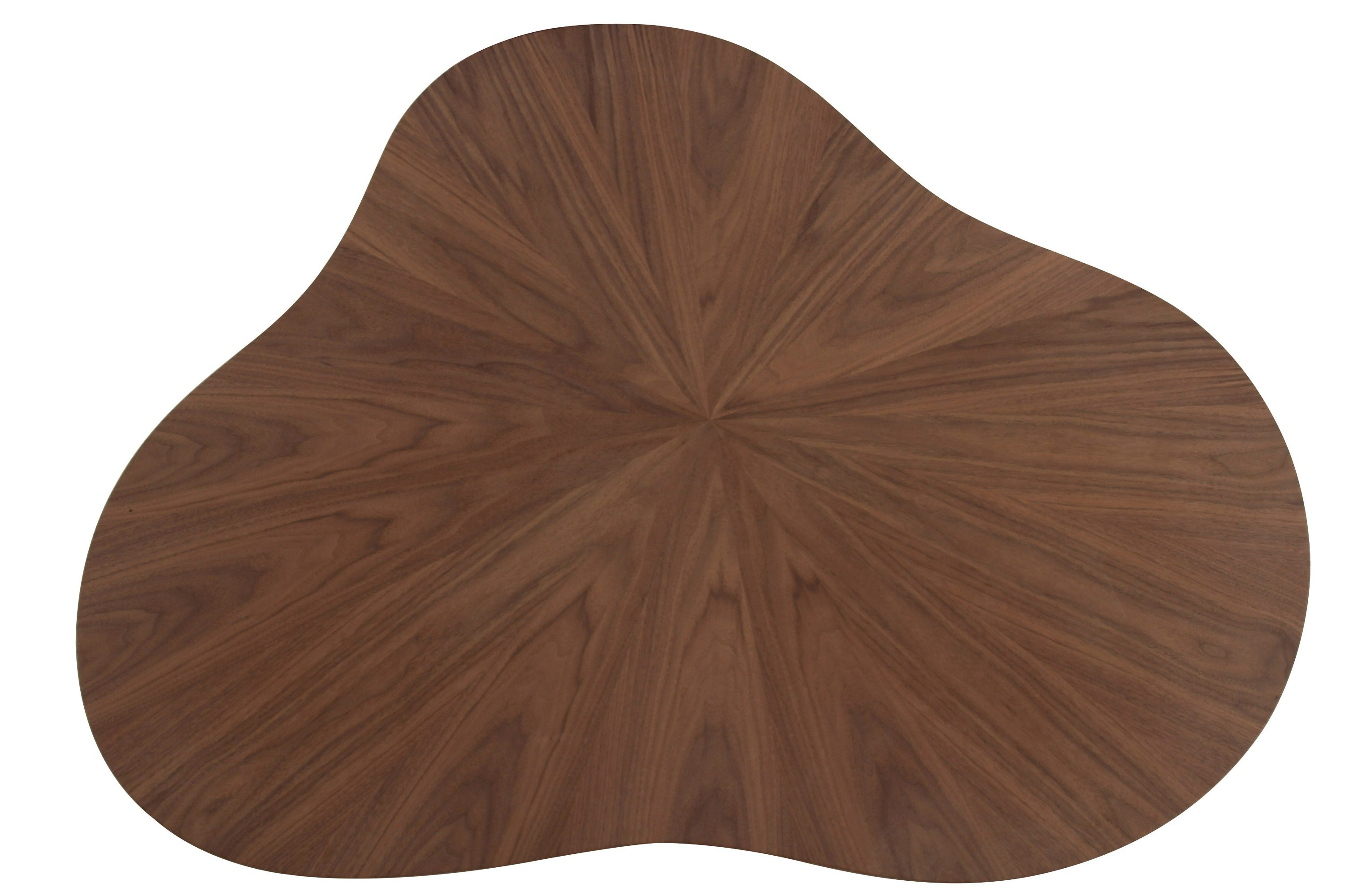 Modrest Larch Modern Free Form Coffee Table