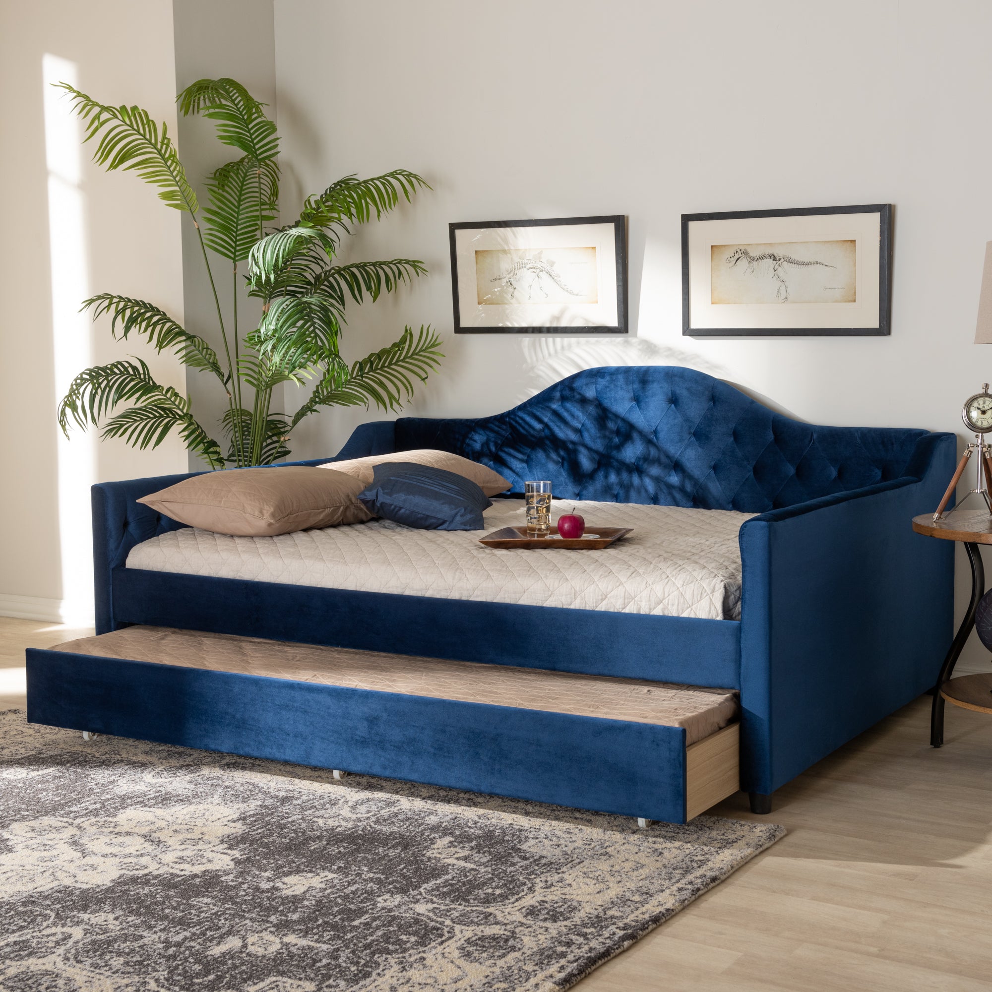 Perry Modern and Contemporary Royal Velvet Fabric Upholstered and Button Tufted Daybed