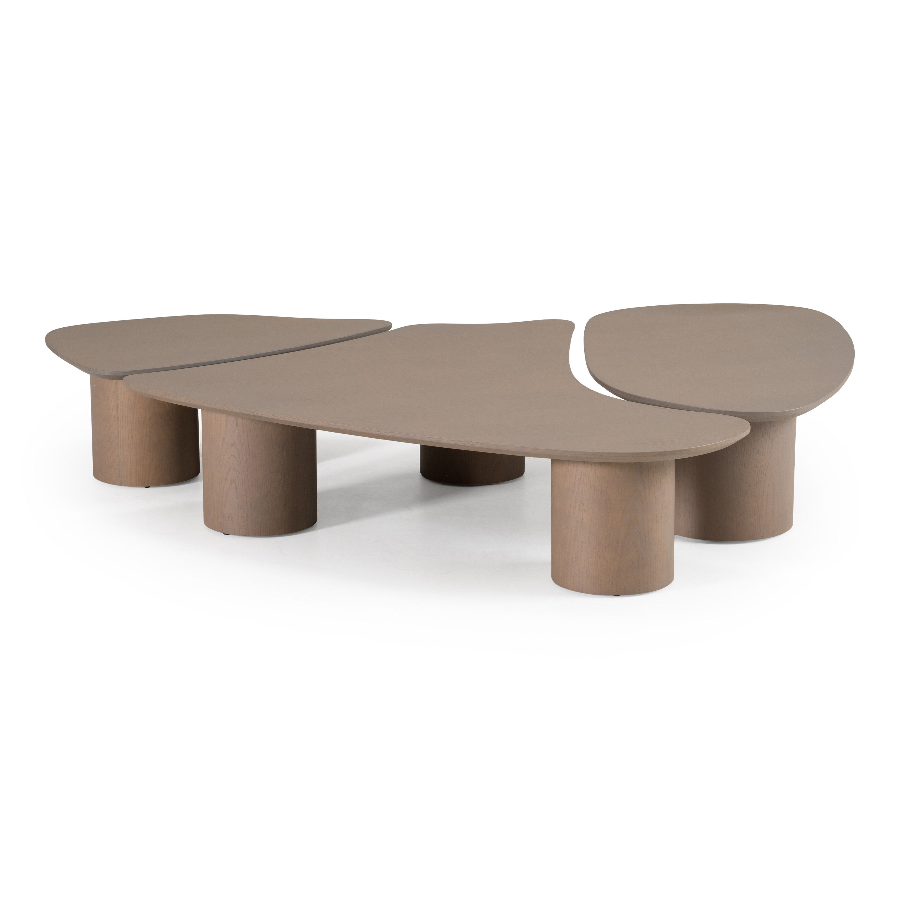 Connie Modern Nesting Coffee Table Set
