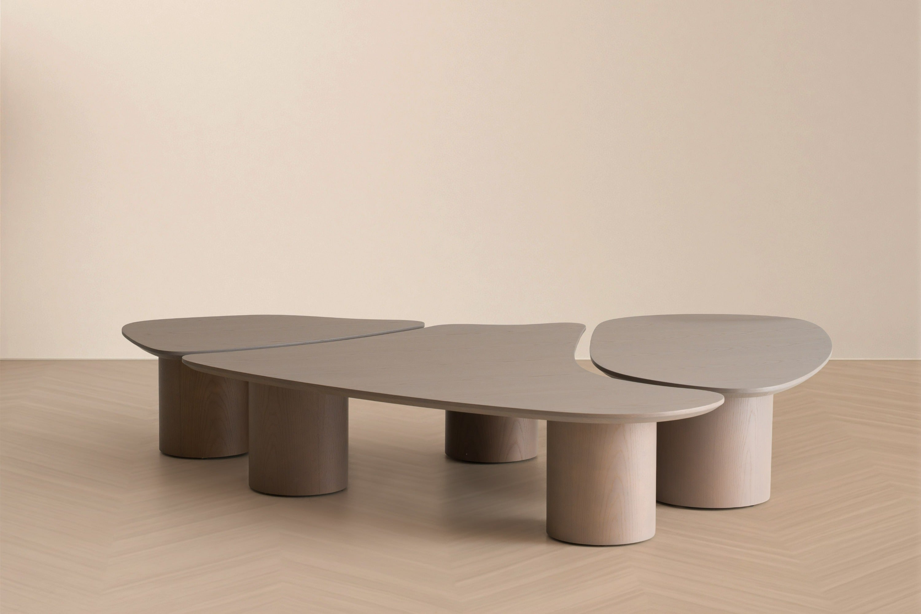 Connie Modern Nesting Coffee Table Set