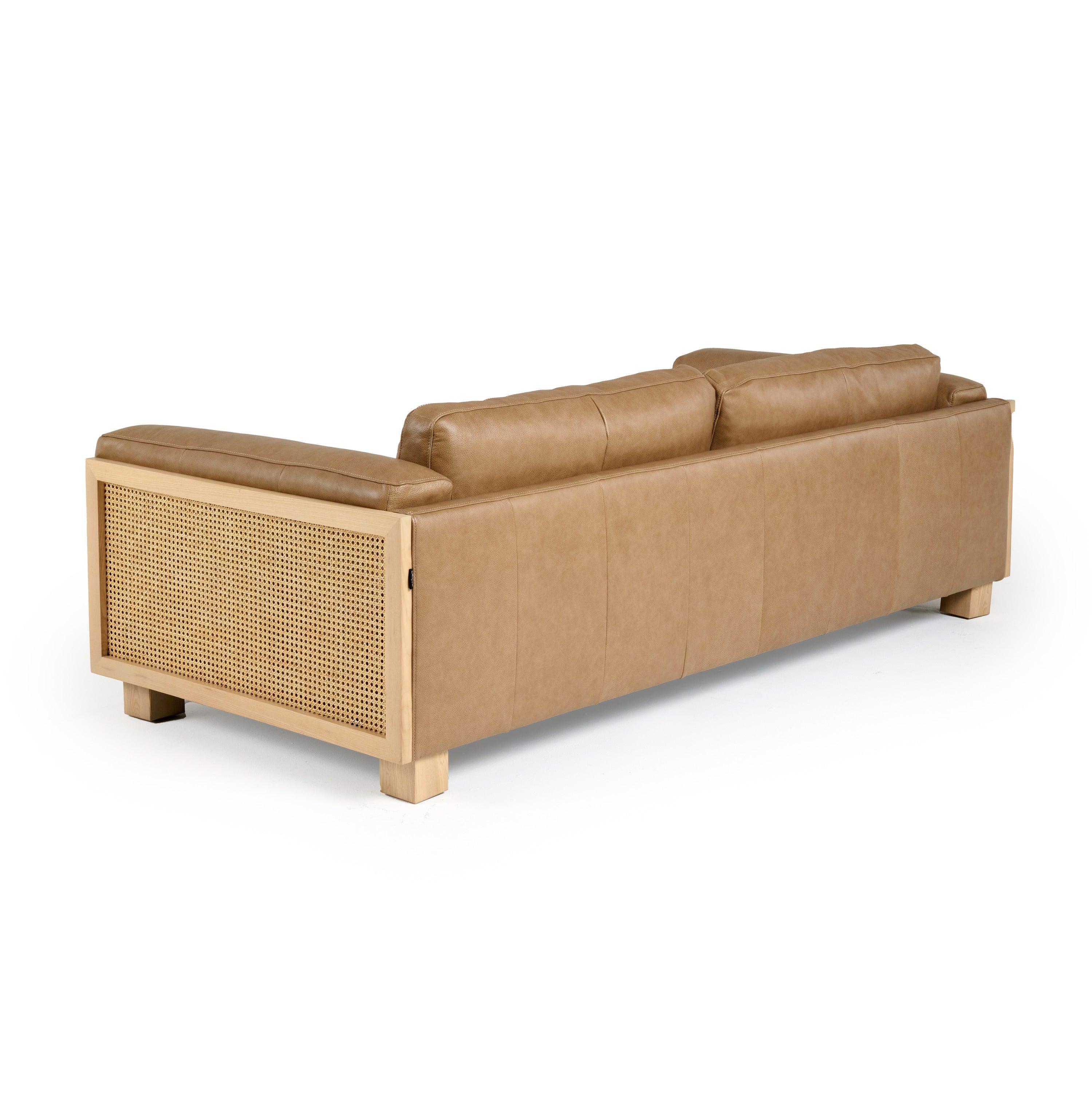 Danson Modern Leather and Wicker Sofa