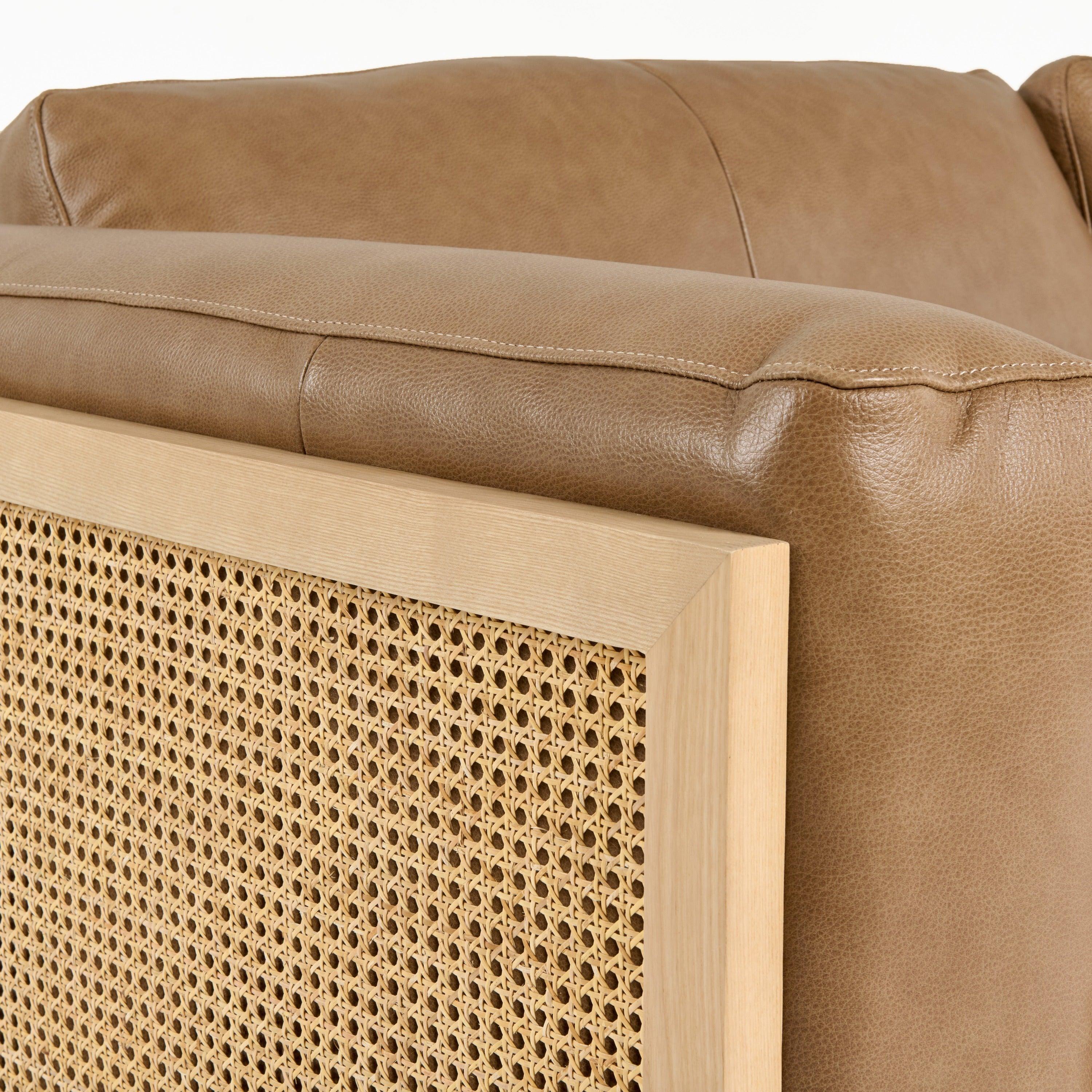 Danson Modern Leather and Wicker Sofa