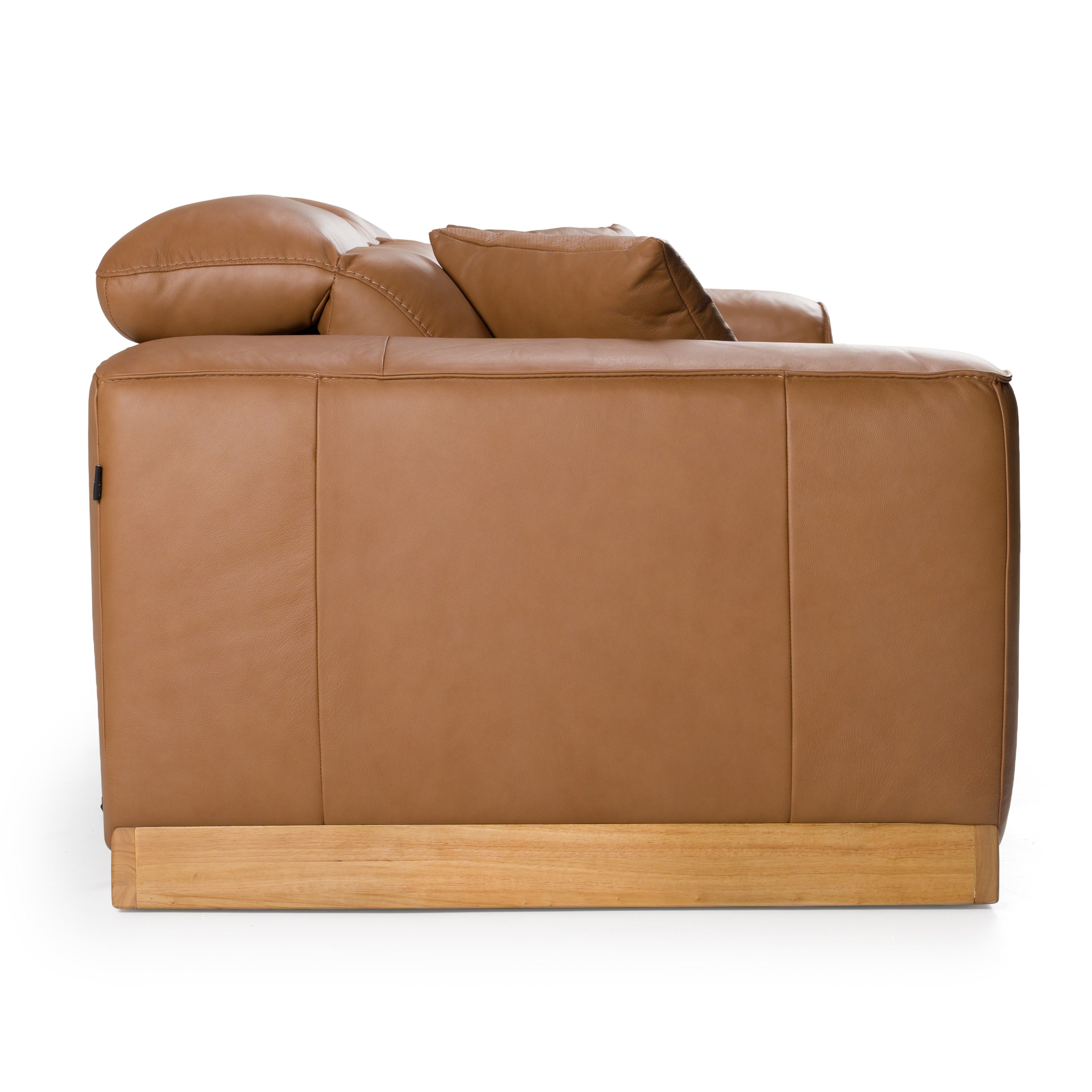 Hagerty Modern Leather Sofa with 2 Power Recliners