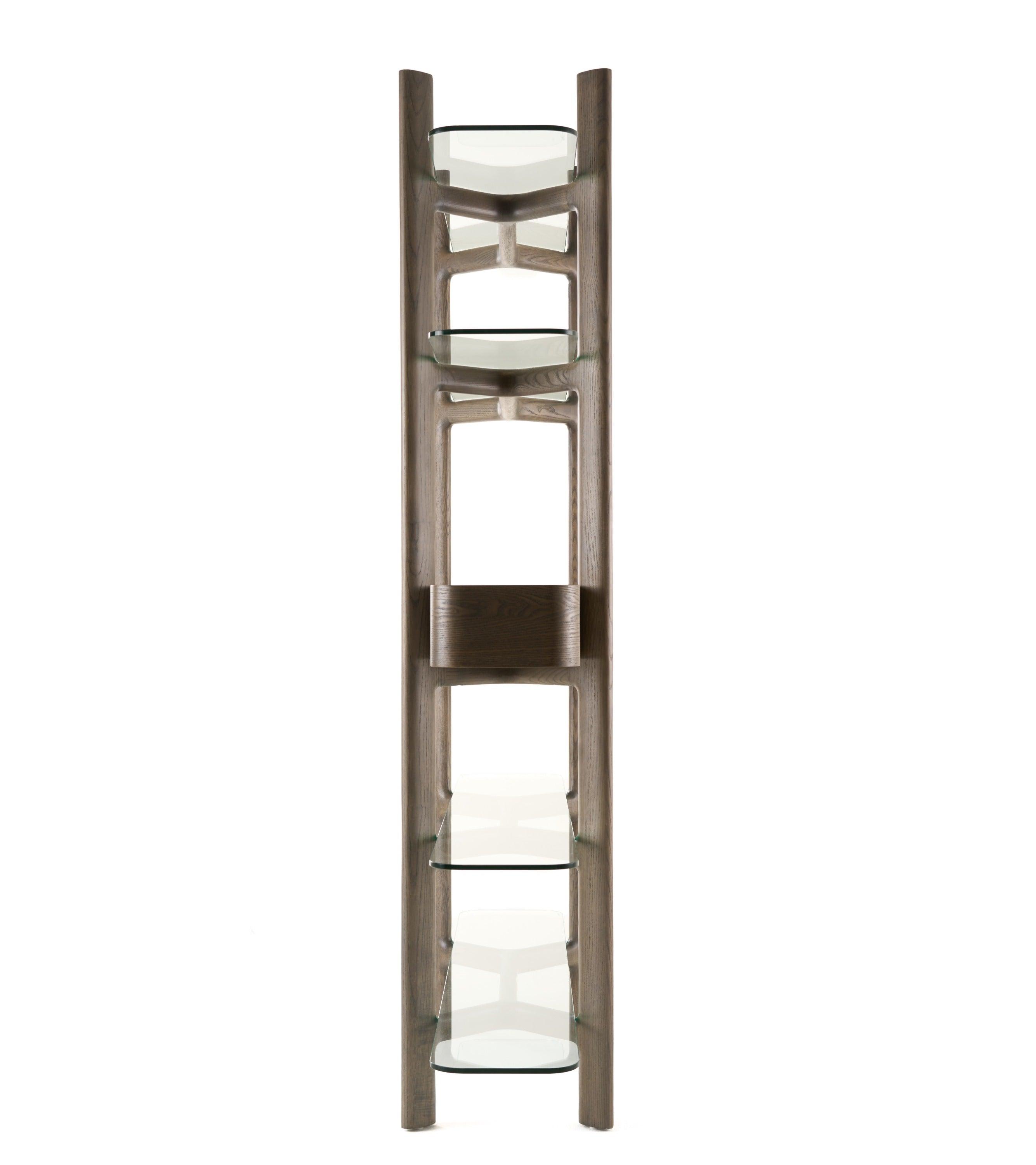 Modrest Rinaldi MidCentury Modern Ash Glass Bookshelf