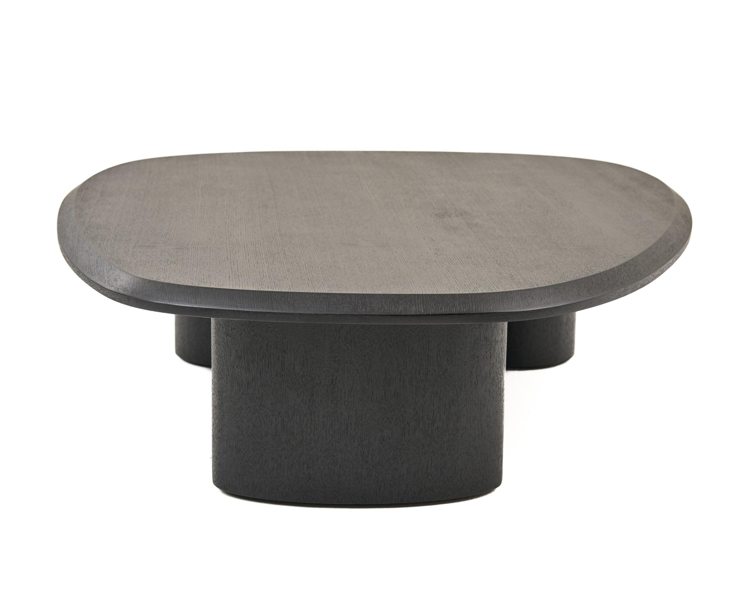 Summit Modern Ash Coffee Table Set