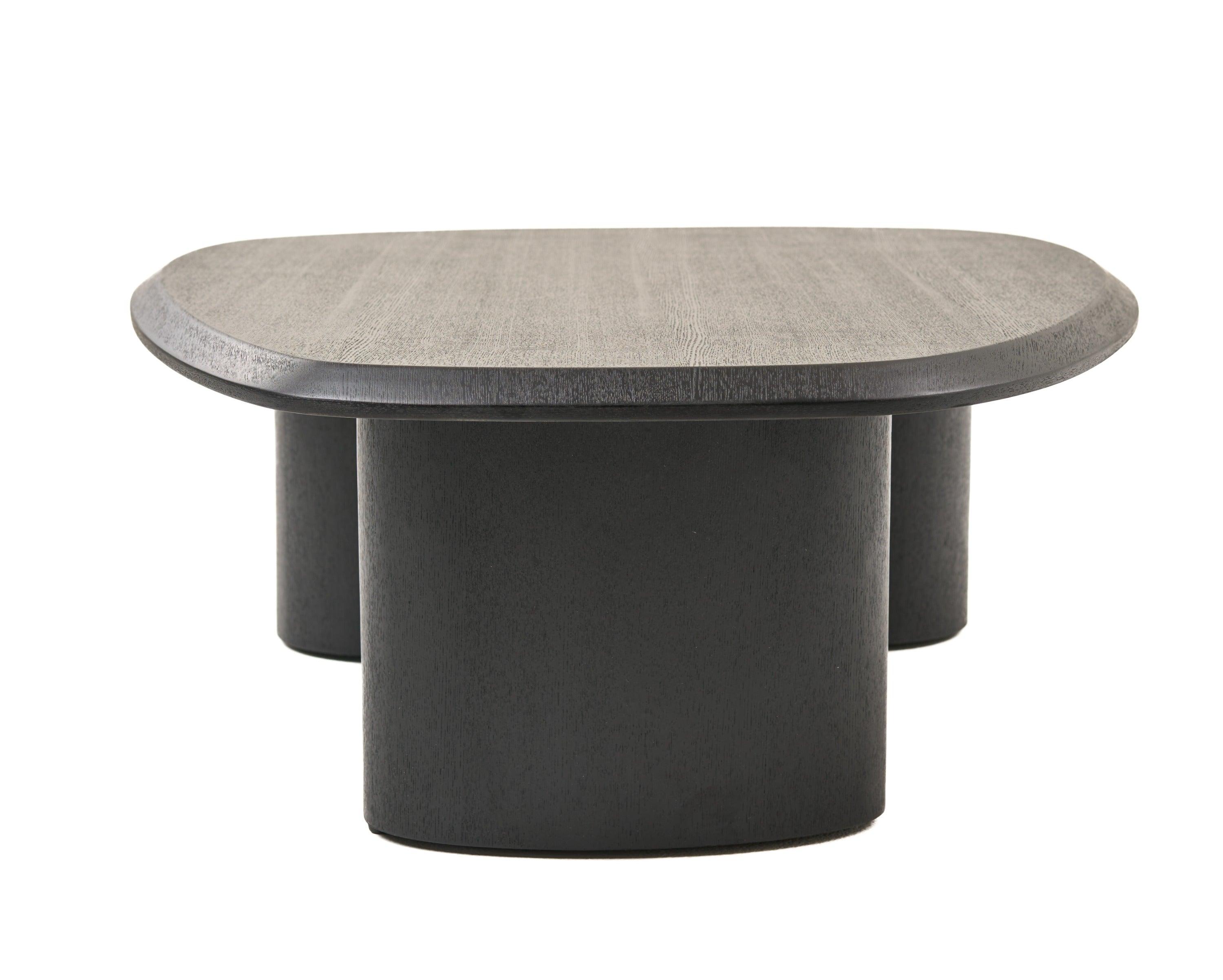 Summit Modern Ash Coffee Table Set