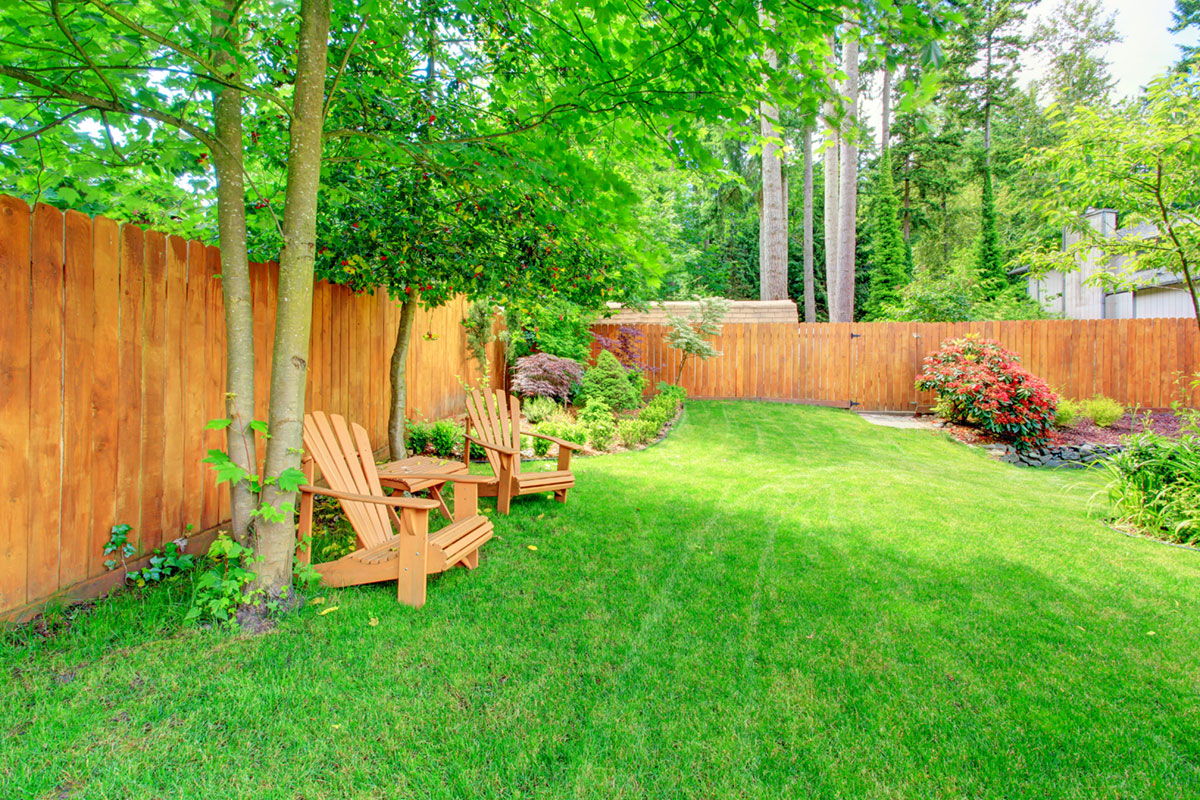 4 Ways To Prepare Your Yard for Summer Fun