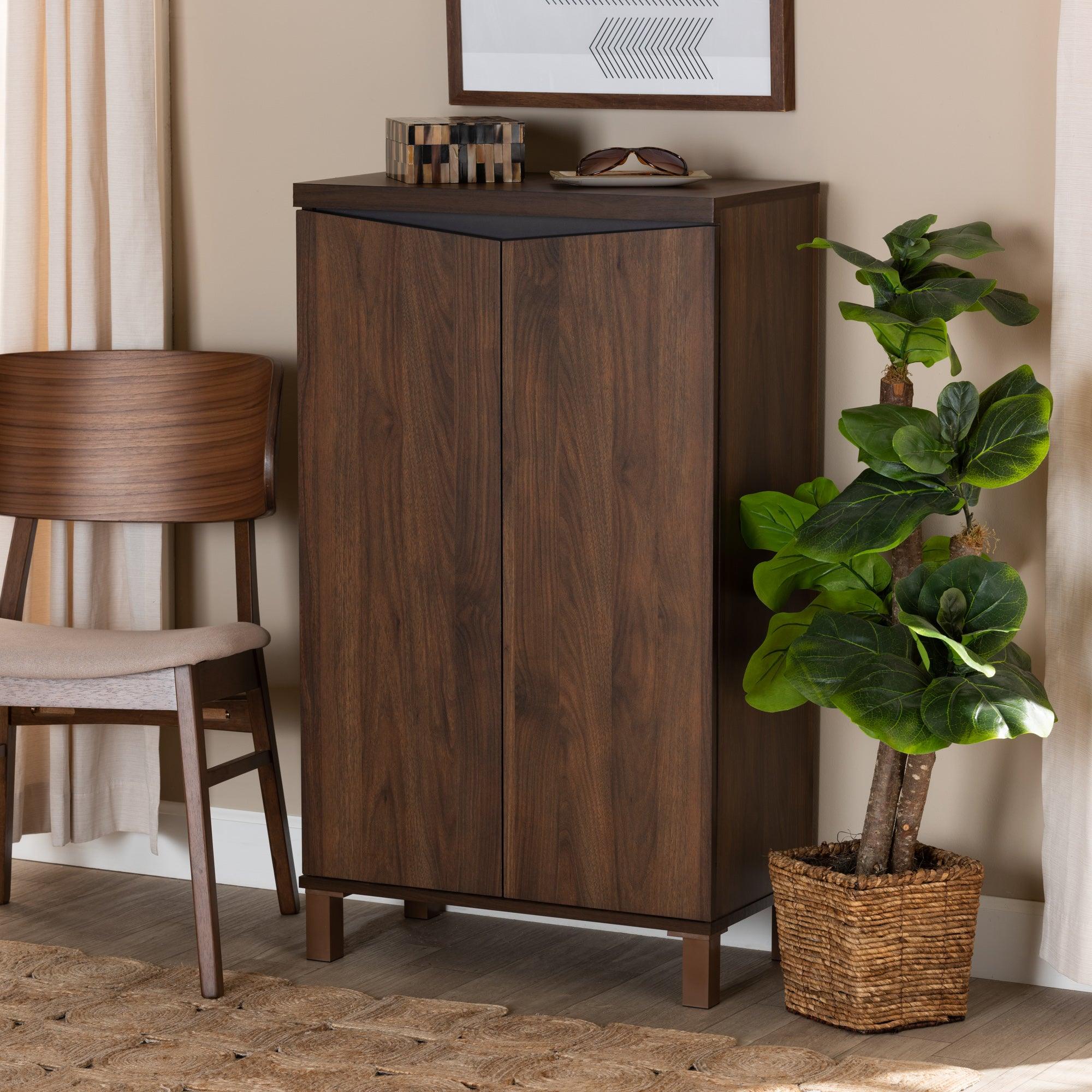 Talon Modern and Contemporary Two-Tone and Dark Finished Wood 2-Door Shoe Storage Cabinet