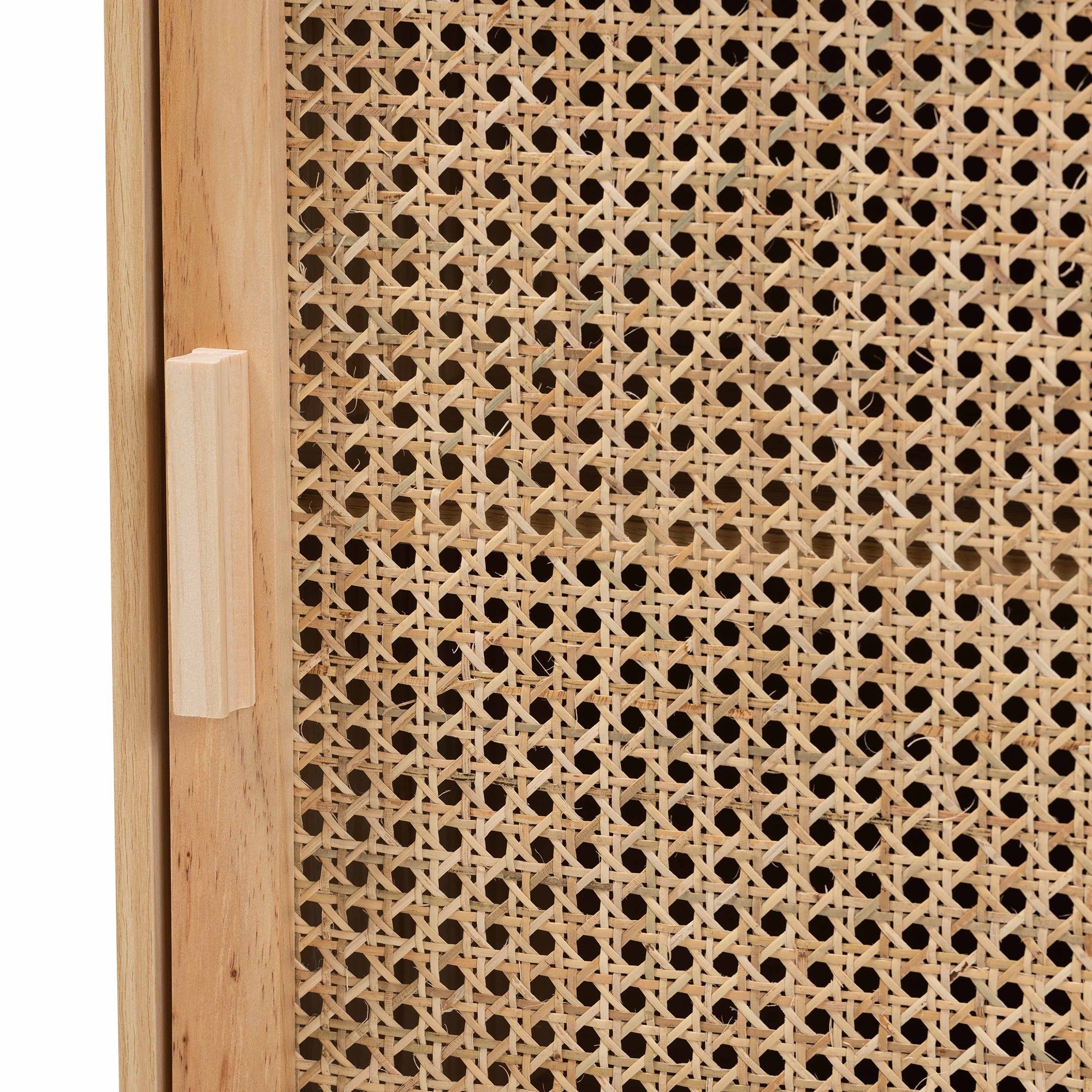 Maclean Mid-Century Modern Rattan and Finished Wood 1-Door End Table