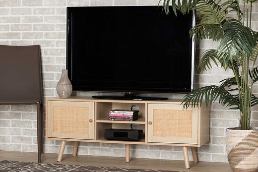 Sebille Mid-Century Modern Finished Wood 2-Door TV Stand
