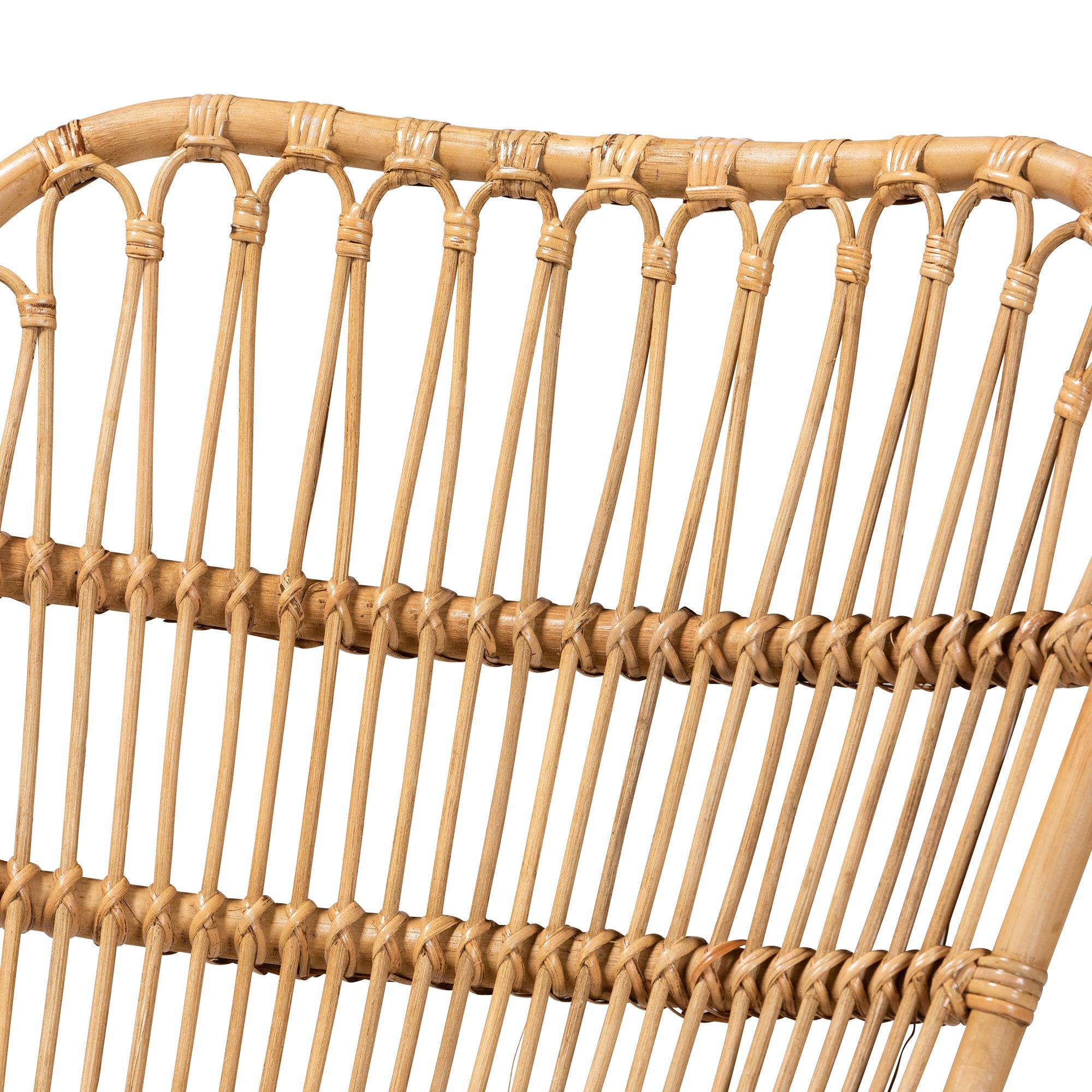 Earvin Modern Bohemian Rattan 2-Piece Armchair and Footstool Set