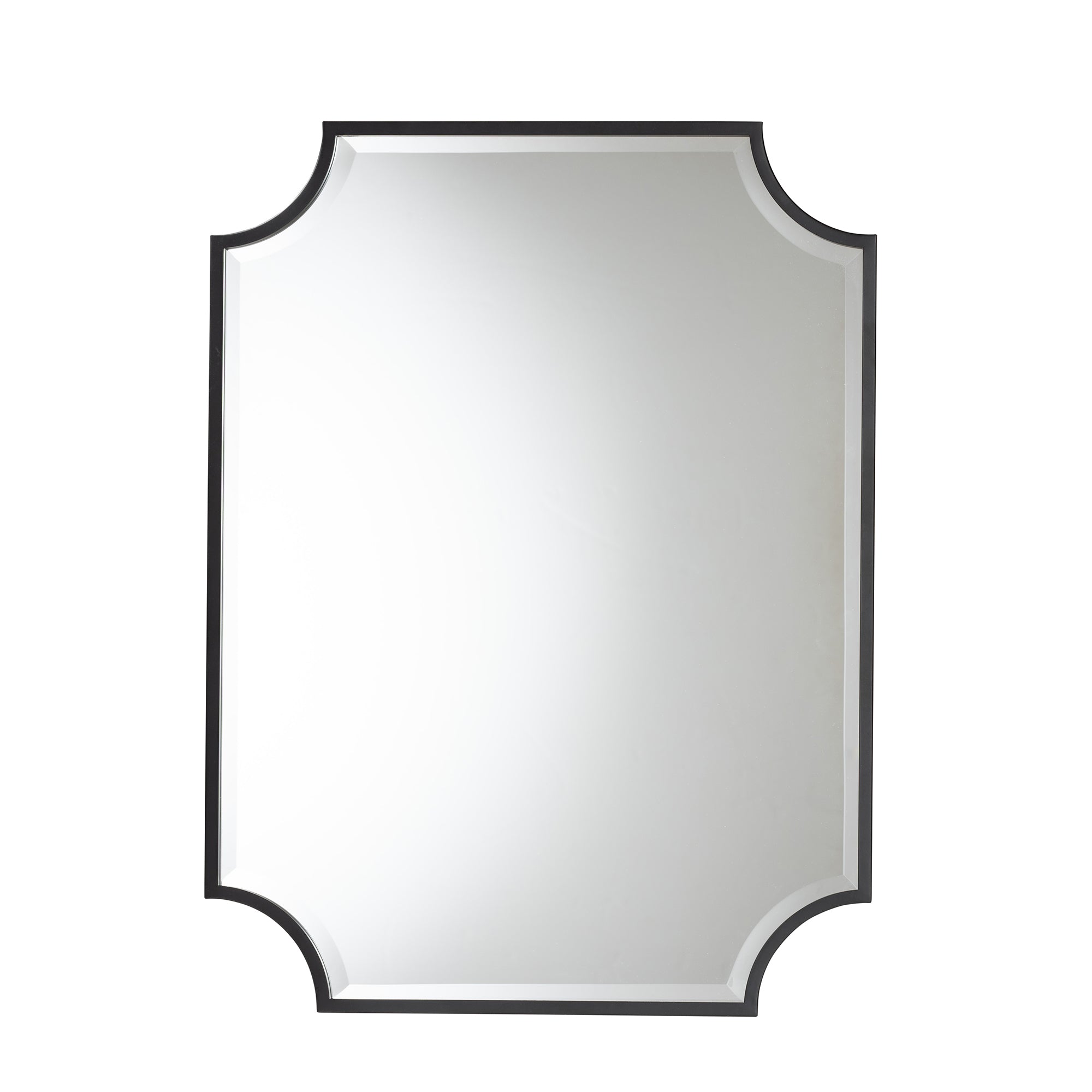 Parcenet Modern Finished Metal Accent Wall Mirror