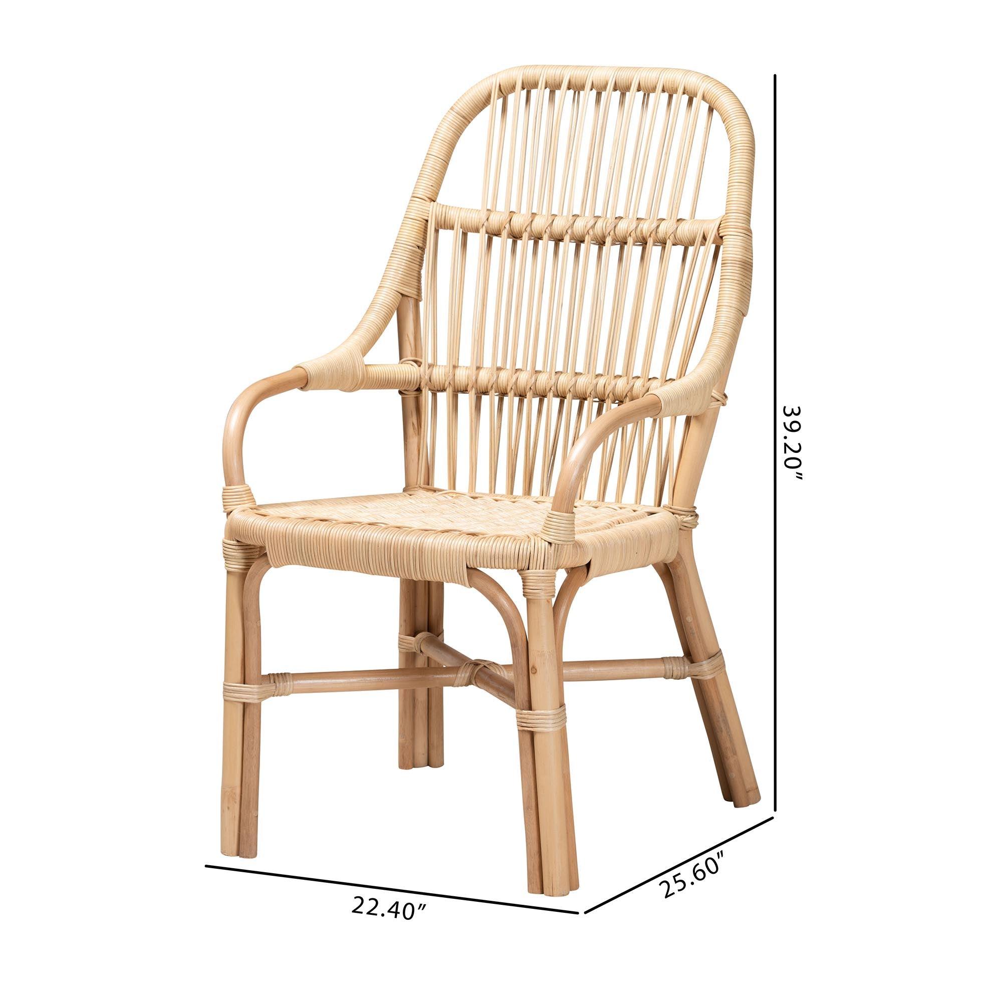 bali & pari Sumatera Modern Bohemian Rattan 2-Piece Dining Chair Set