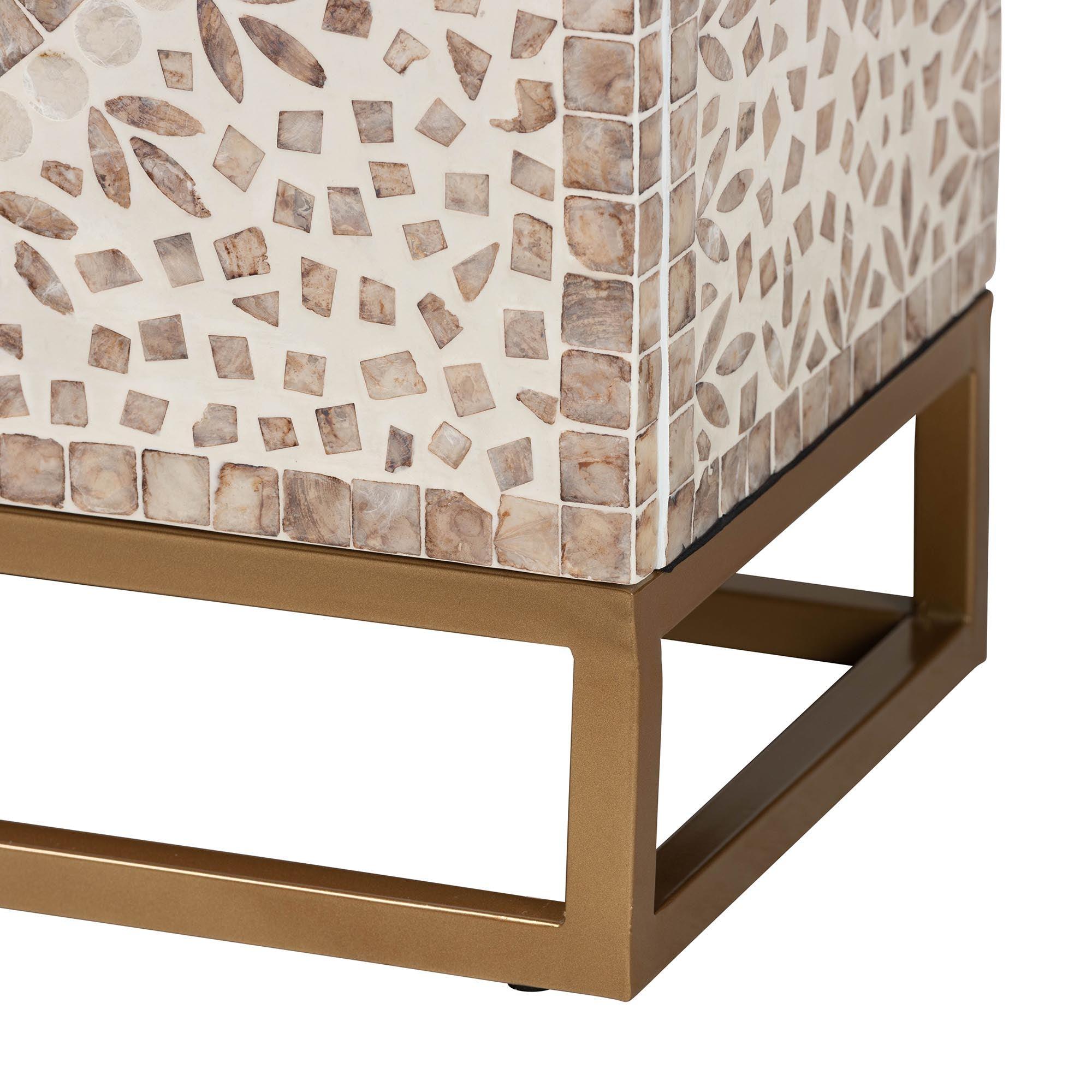 Ercilia Modern Bohemian and Rustic Mother of Pearl Storage Cabinet