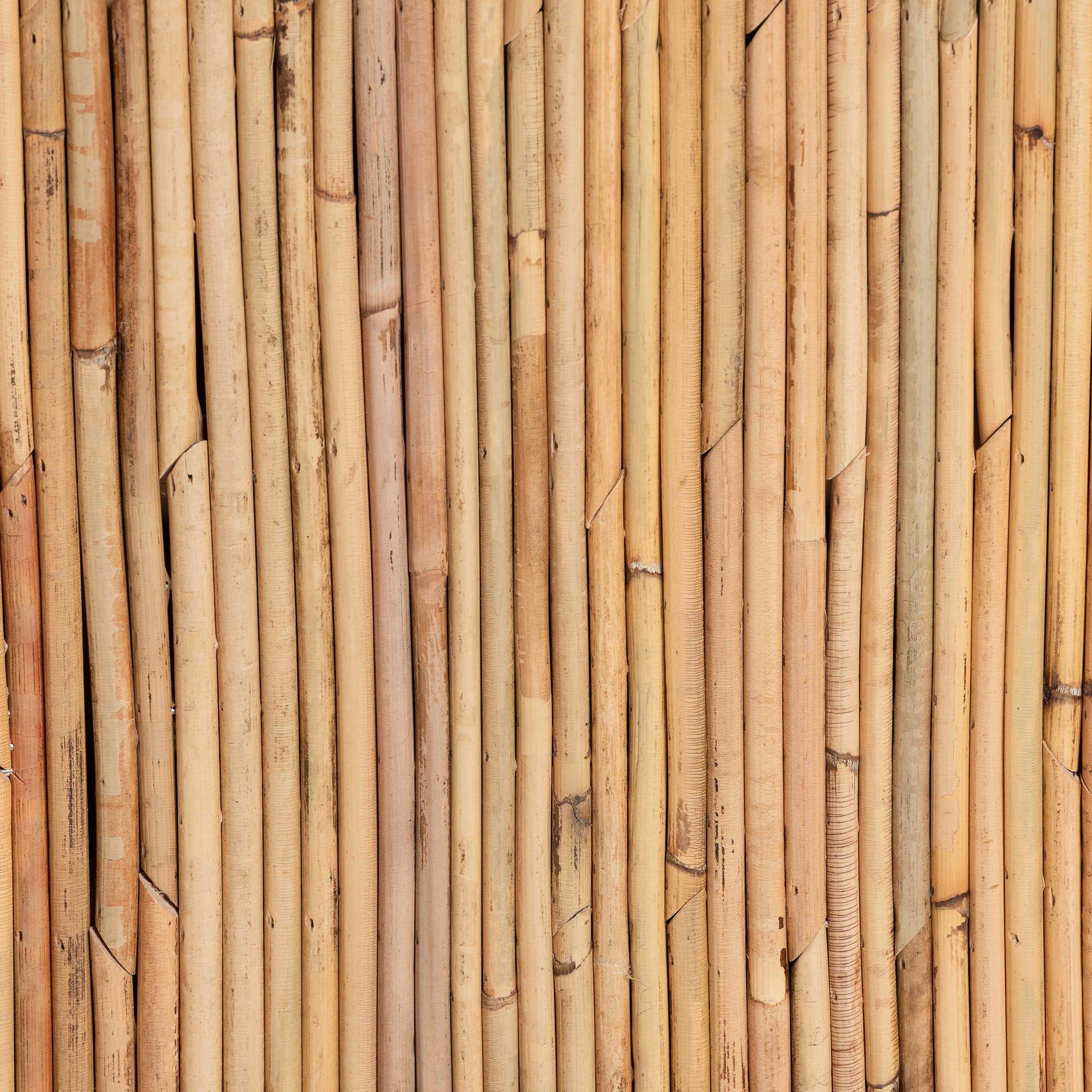 bali & pari Rosina Bohemian Rattan 1-Drawer Nightstand