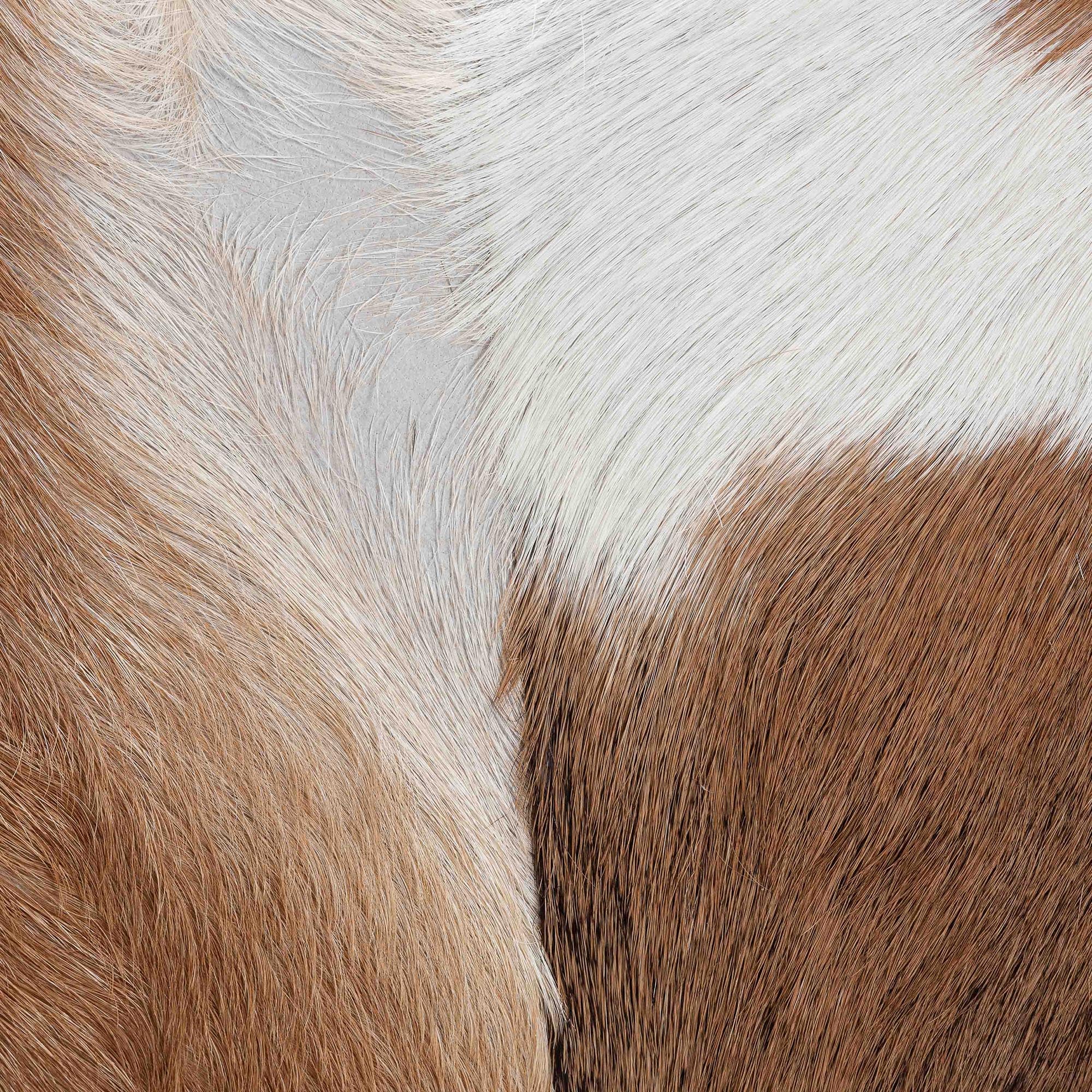 bali & pari Scotlyn Genuine Goat Leather Footstool with Teak Wood Legs - Rustic Boho Accent Seat with Hide Upholstery, Handmade Decorative Footrest for Living Room or Bedroom