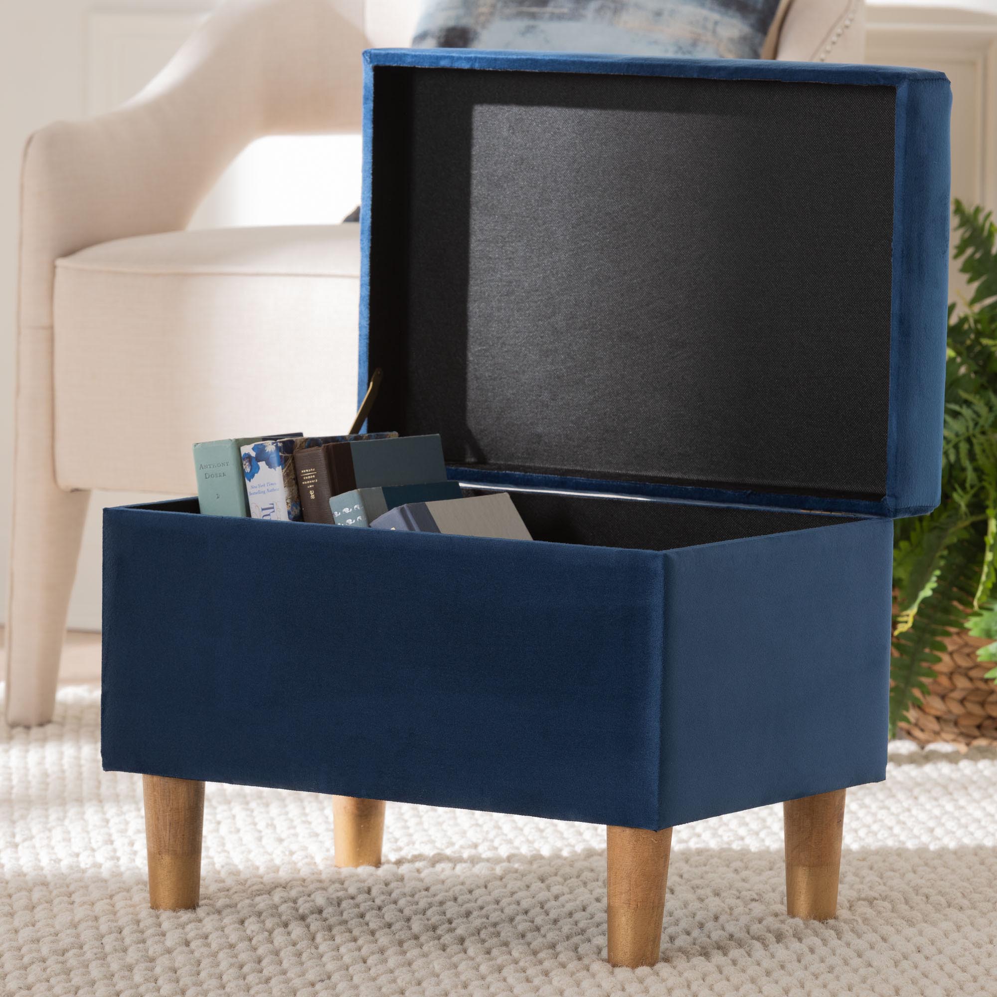 Elias Modern Velvet Fabric Storage Ottoman