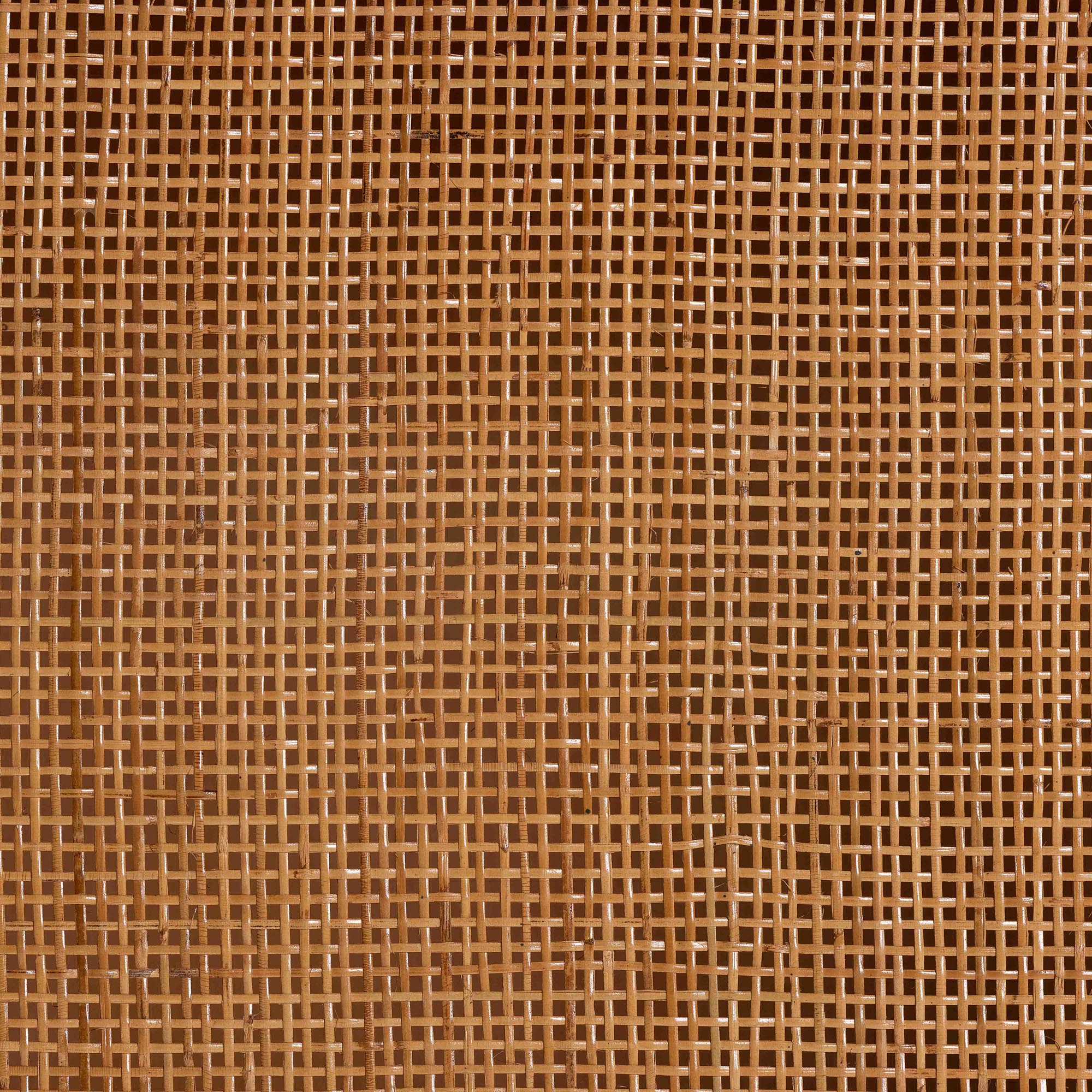 Bali & Pari Paloma Arched Rattan Accent Cabinet