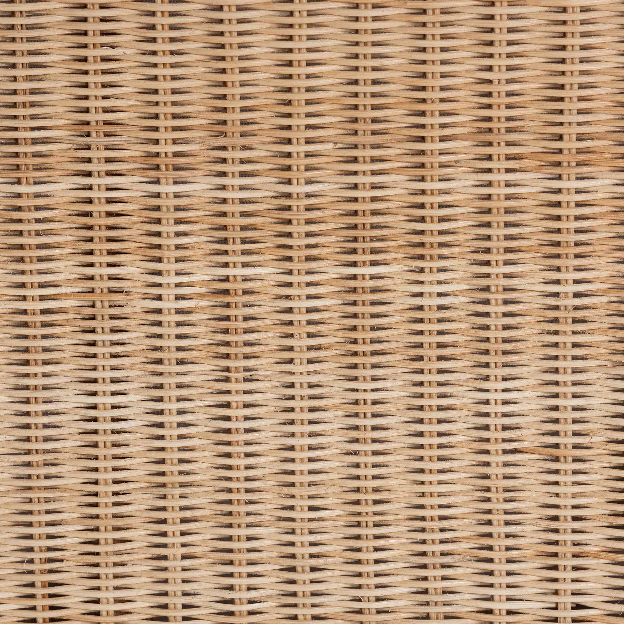 Bali & Pari Caden Braided Rattan Chest with Lift-top Lid Coastal Boho Style Storage Bench