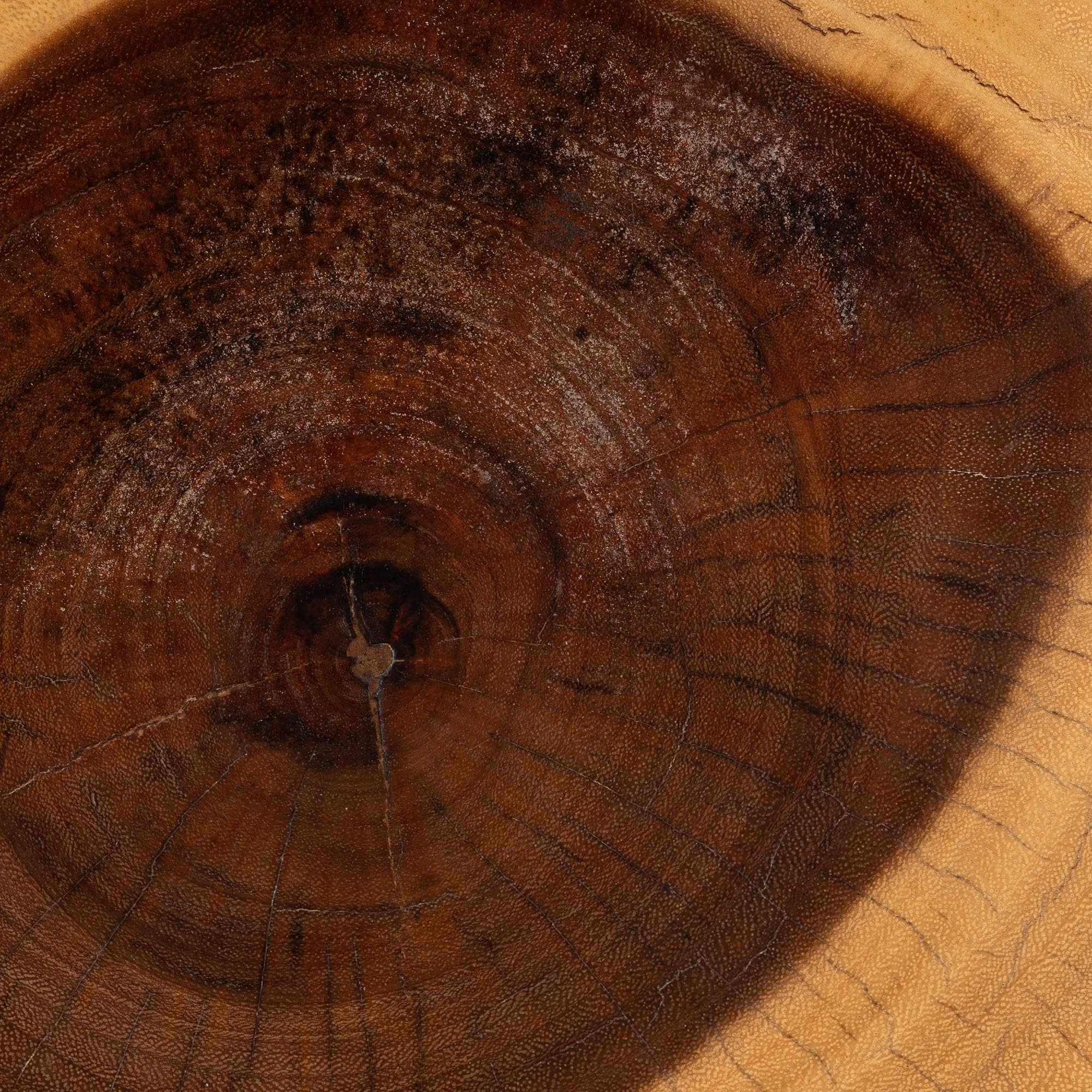 bali & pari Alara Hand-carved Suar Wood Side Table - Sculptural Pedestal Accent Table with Grain, Modern Boho Style for Living Room or Bedroom