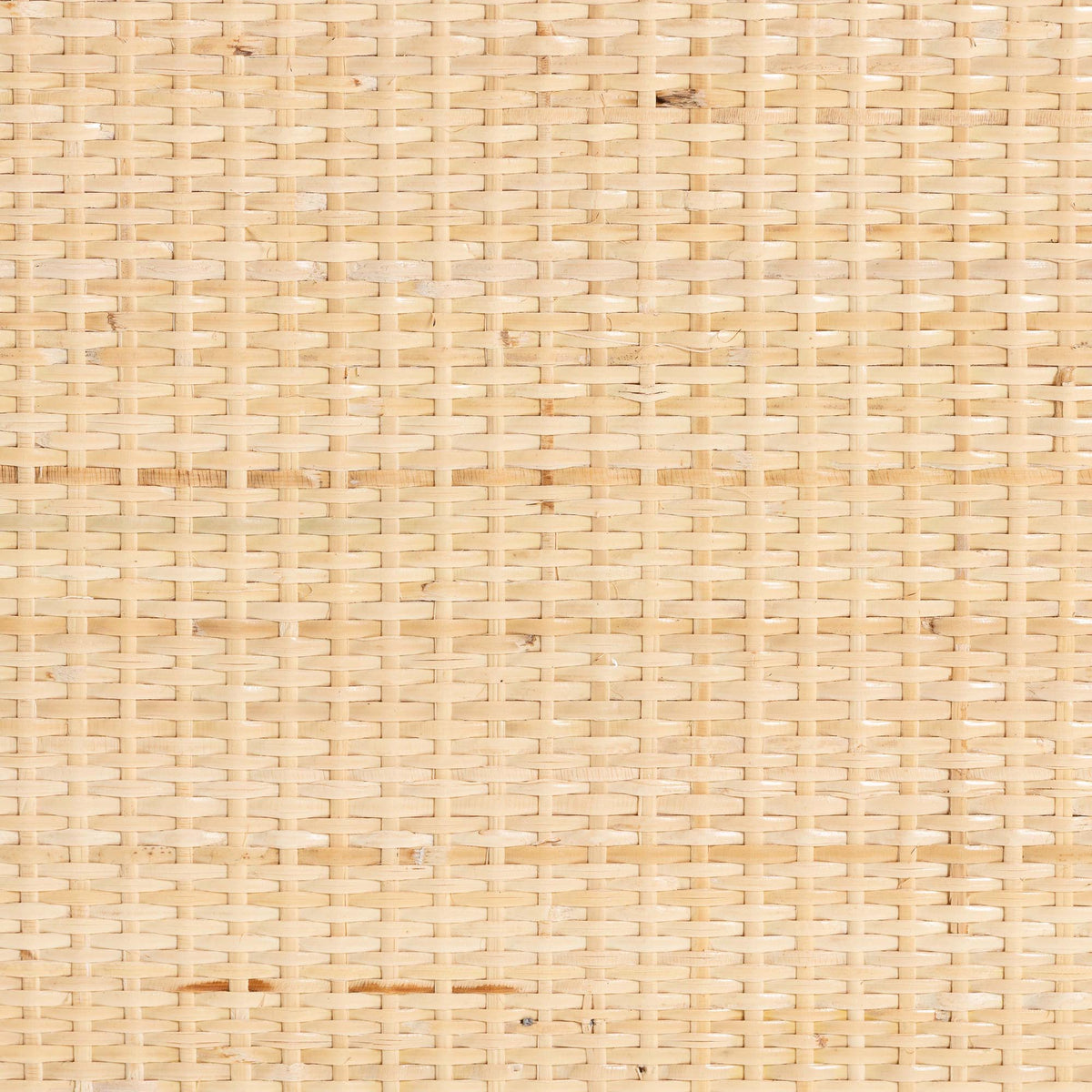 Bali & Pari Acelin Rattan Storage Cabinet
