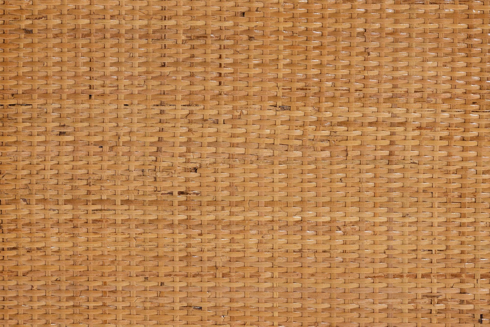 Bali & Pari Mairen Arched Rattan Storage Cabinet