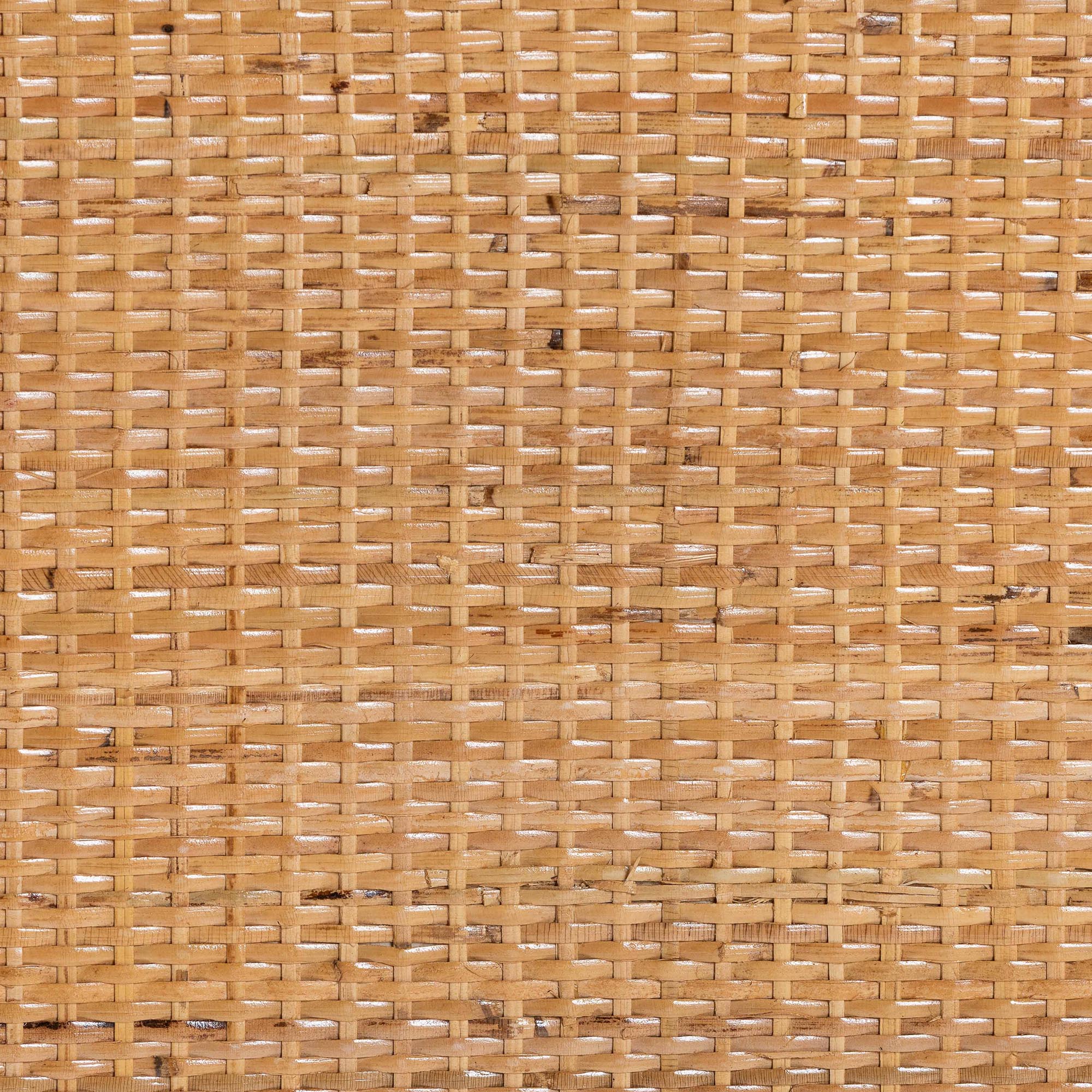 Bali & Pari Noreen Peacock Fan Rattan Cabinet