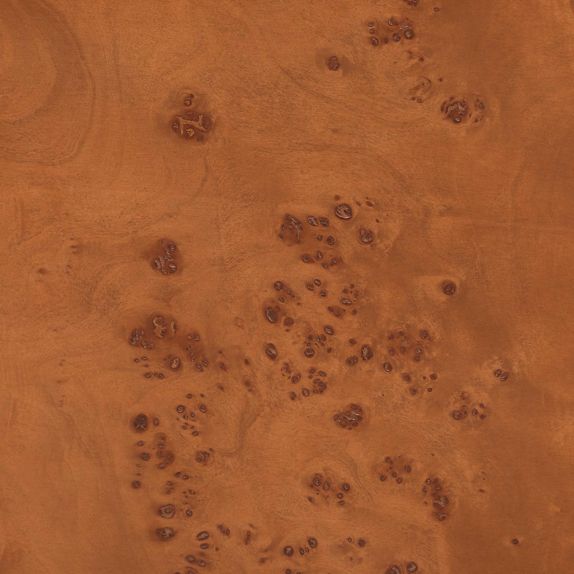 Bali & Pari Fuentes Real Burl Wood Bed