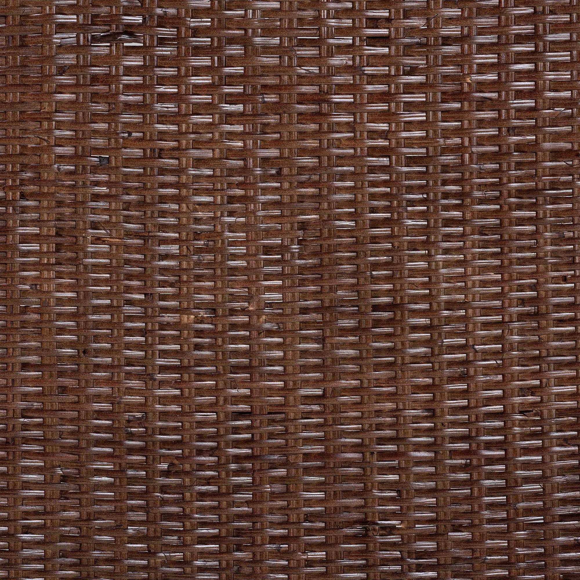 Bali & Pari Jaelle Rattan Standalone Headboard