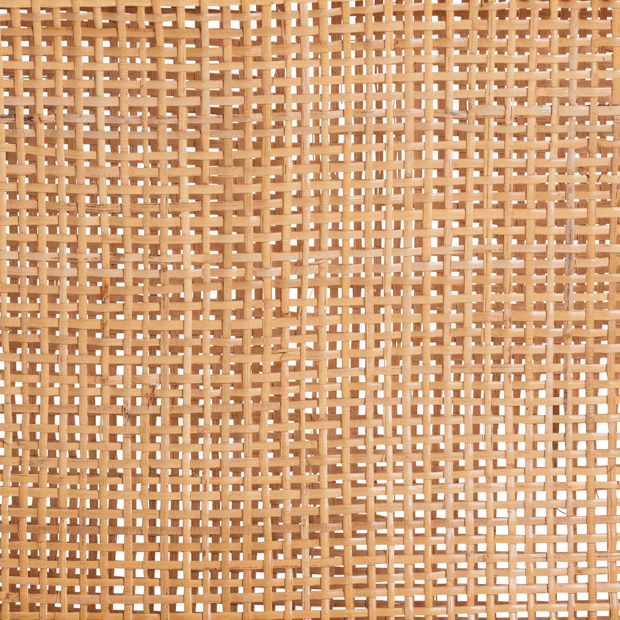 Bali & Pari Ottis Rattan Counter Stool