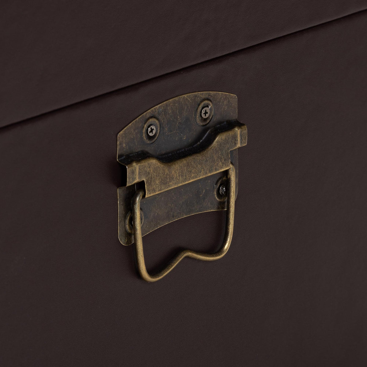 Manton Storage Trunk