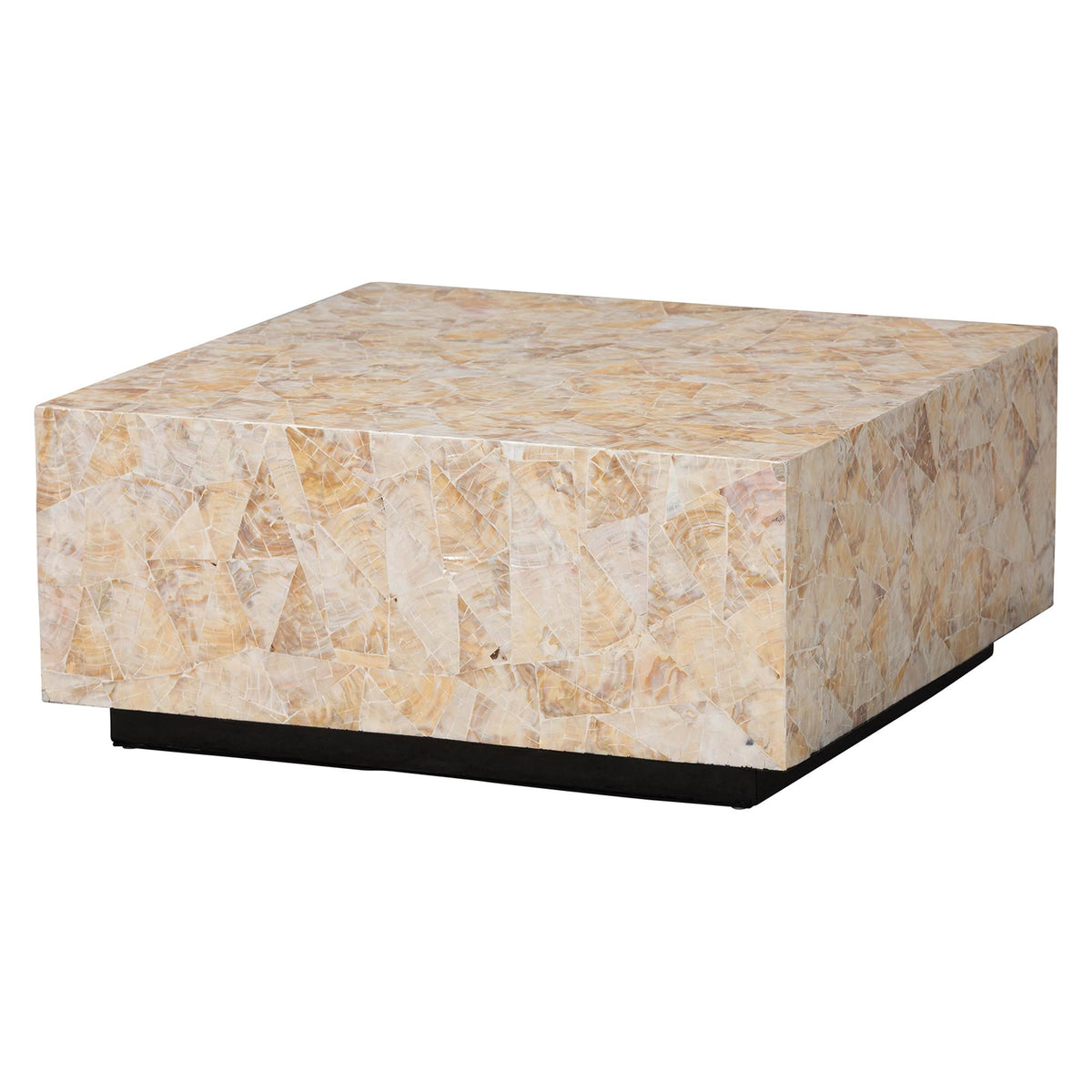 Bali & Pari Fraley Capiz Shell Coffee Table