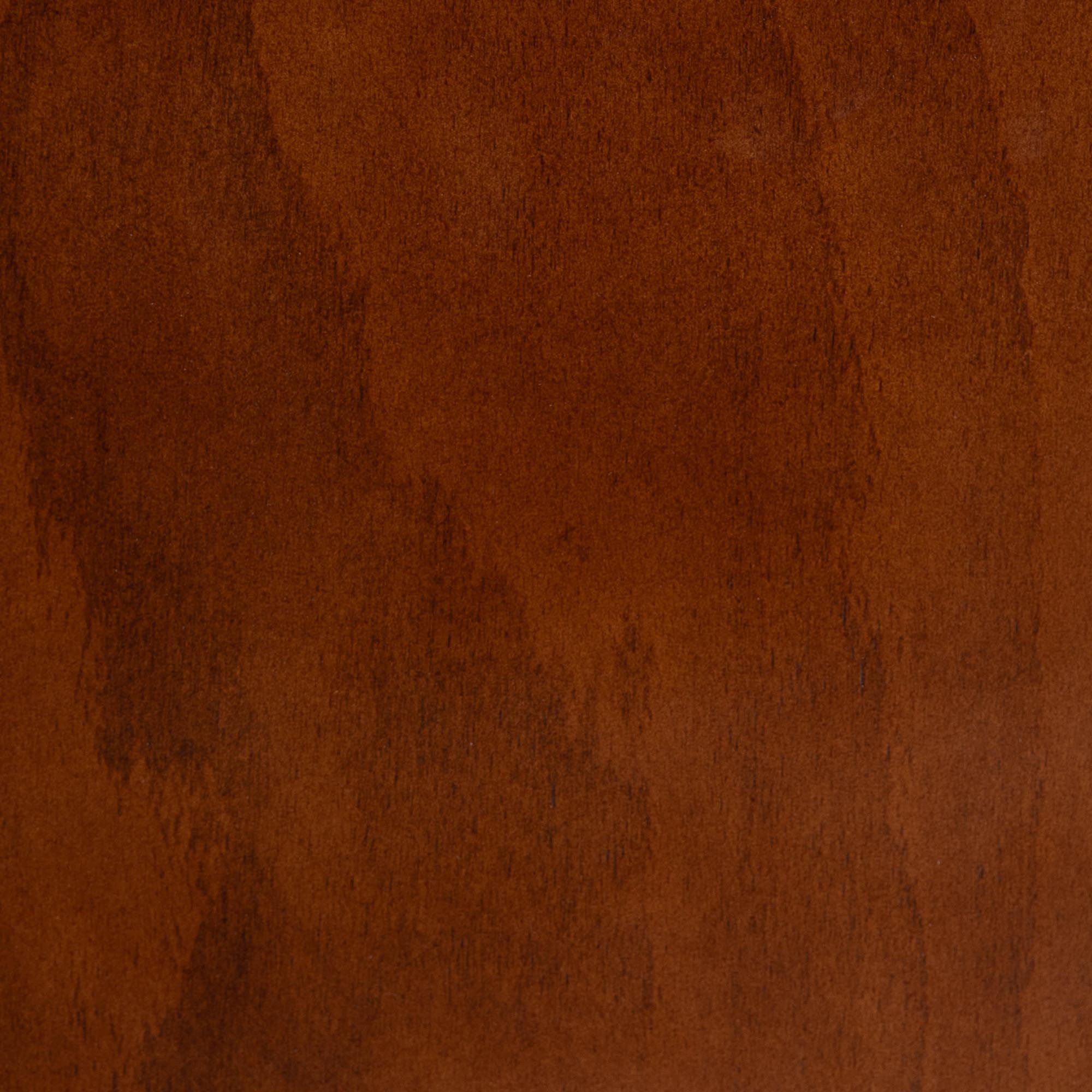 Elsa Mid-century Modern Scandinavian Style Dark Bent Wood Dining Chair (Set of 2)