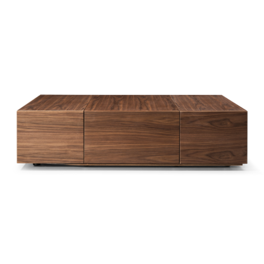 Leslie Modern Coffee Table