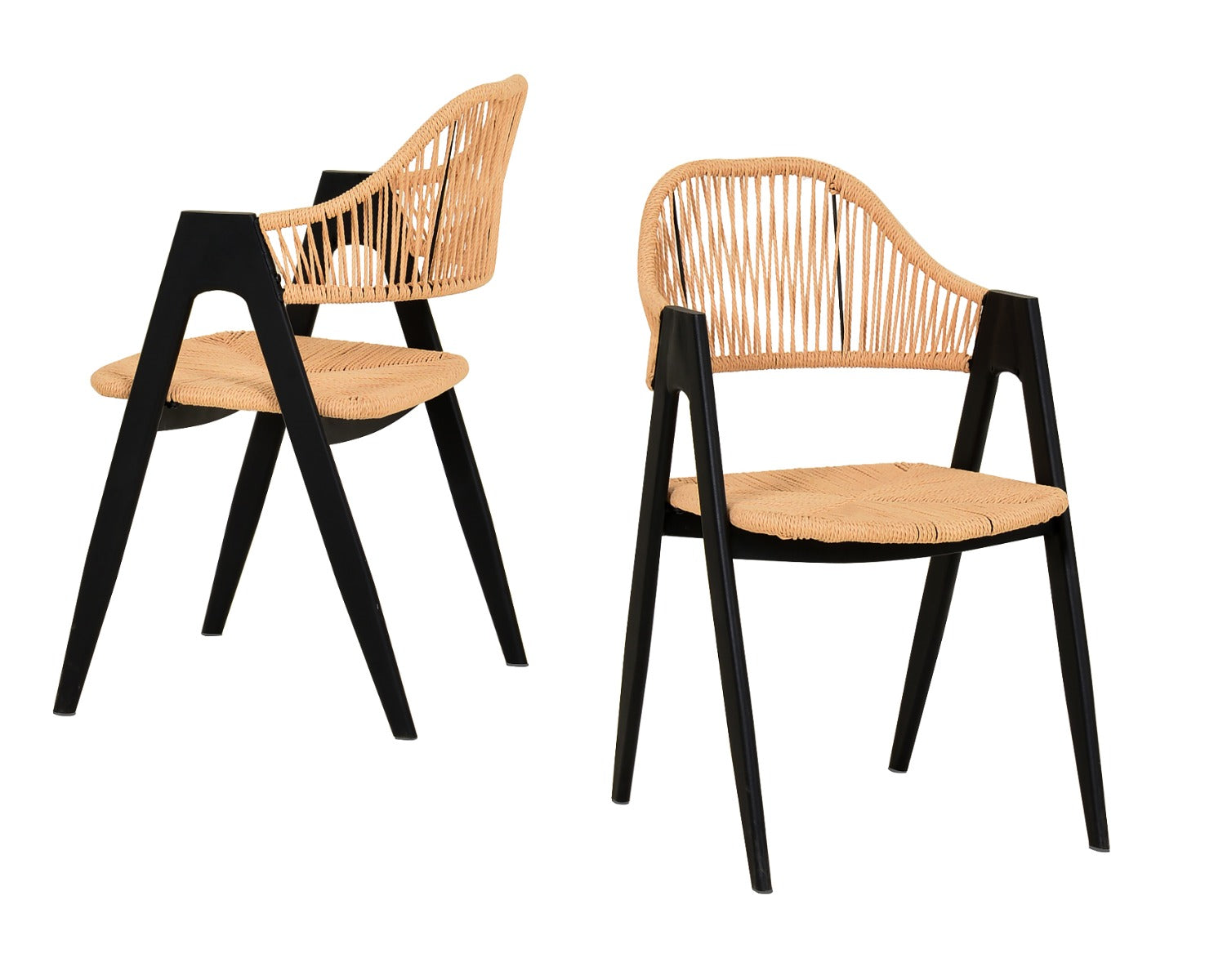 Modrest Gayle - Modern Rattan Dining Chair Set of 2-Dining Chair-VIG-Wall2Wall Furnishings