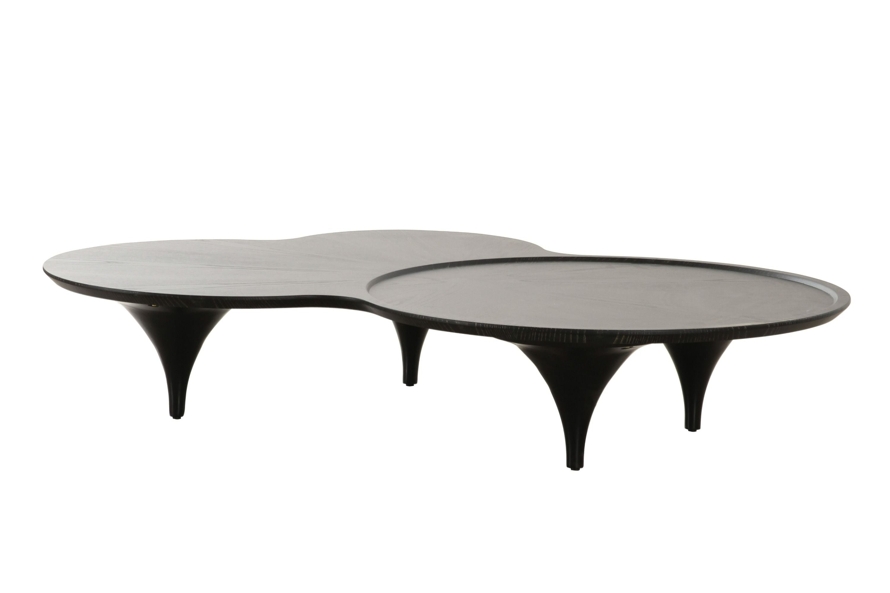 Modrest Beulah Modern Free Form Ash Coffee Table