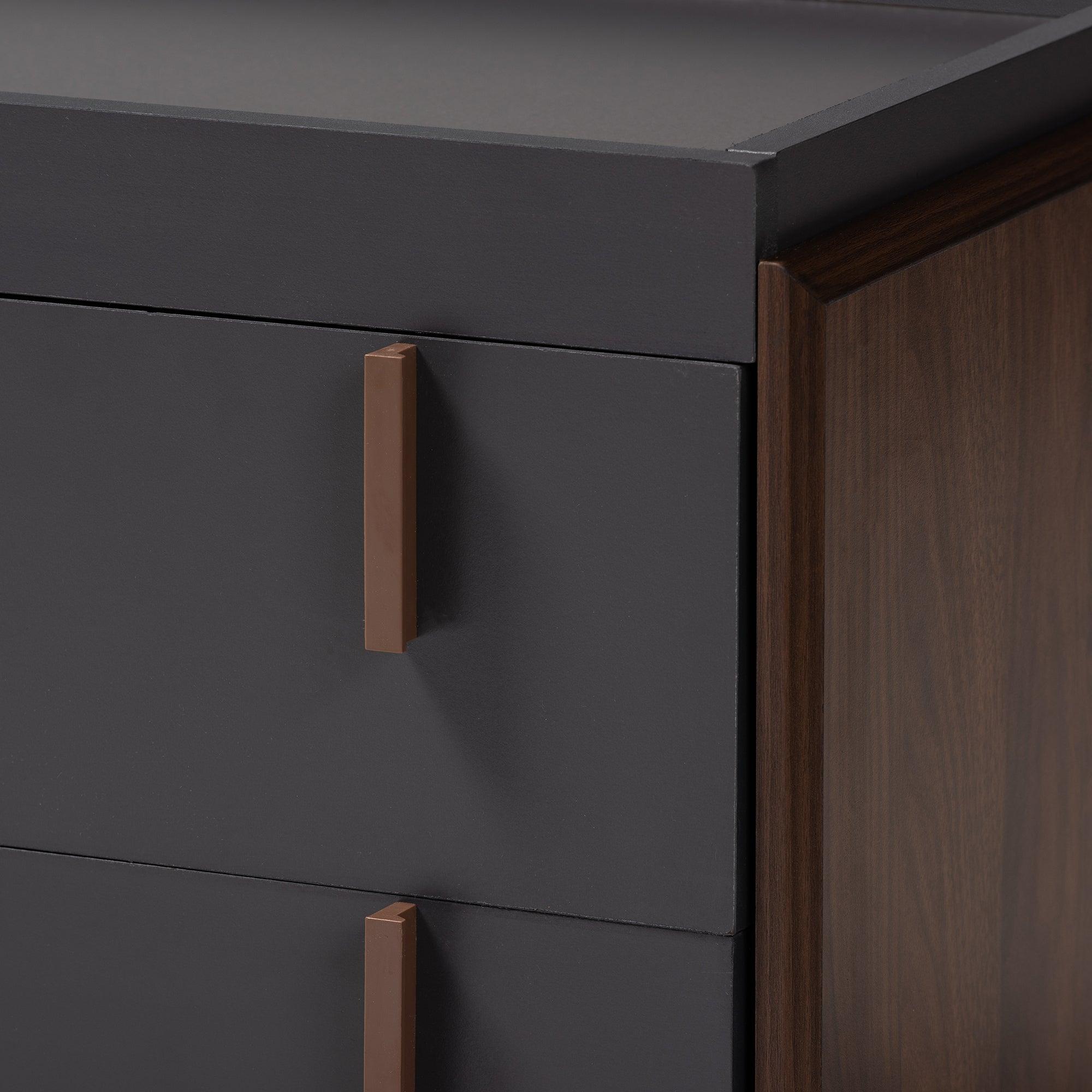 Rikke Modern and Contemporary Two-Tone and Finished Wood 2-Drawer TV Stand